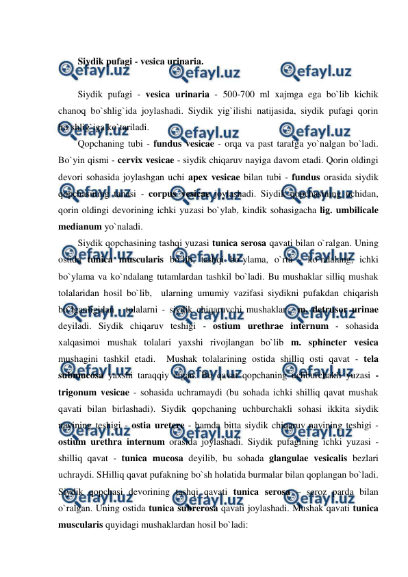  
 
 
Siydik pufagi - vesica urinaria. 
 
Siydik pufagi - vesica urinaria - 500-700 ml xajmga ega bo`lib kichik 
chanoq bo`shlig`ida joylashadi. Siydik yig`ilishi natijasida, siydik pufagi qorin 
bo`shlig`iga ko`tariladi.  
Qopchaning tubi - fundus vesicae - orqa va past tarafga yo`nalgan bo`ladi. 
Bo`yin qismi - cervix vesicae - siydik chiqaruv nayiga davom etadi. Qorin oldingi 
devori sohasida joylashgan uchi apex vesicae bilan tubi - fundus orasida siydik 
qopchasining tanasi - corpus vesicae joylashadi. Siydik qopchasining uchidan, 
qorin oldingi devorining ichki yuzasi bo`ylab, kindik sohasigacha lig. umbilicale 
medianum yo`naladi.  
Siydik qopchasining tashqi yuzasi tunica serosa qavati bilan o`ralgan. Uning 
ostida tunica muscularis bo`lib, tashqi bo`ylama, o`rta - ko`ndalang, ichki 
bo`ylama va ko`ndalang tutamlardan tashkil bo`ladi. Bu mushaklar silliq mushak 
tolalaridan hosil bo`lib,  ularning umumiy vazifasi siydikni pufakdan chiqarish 
bo`lganligidan - tolalarni - siydik chiqaruvchi mushaklar - m. detrusor urinae 
deyiladi. Siydik chiqaruv teshigi - ostium urethrae internum - sohasida 
xalqasimoi mushak tolalari yaxshi rivojlangan bo`lib m. sphincter vesica 
mushagini tashkil etadi.  Mushak tolalarining ostida shilliq osti qavat - tela 
submucosa yaxshi taraqqiy etgan. Bu qavat qopchaning uchburchakli yuzasi - 
trigonum vesicae - sohasida uchramaydi (bu sohada ichki shilliq qavat mushak 
qavati bilan birlashadi). Siydik qopchaning uchburchakli sohasi ikkita siydik 
nayining teshigi - ostia uretere - hamda bitta siydik chiqaruv nayining teshigi - 
ostium urethra internum orasida joylashadi. Siydik pufagining ichki yuzasi - 
shilliq qavat - tunica mucosa deyilib, bu sohada glangulae vesicalis bezlari 
uchraydi. SHilliq qavat pufakning bo`sh holatida burmalar bilan qoplangan bo`ladi. 
Siydik qopchasi devorining tashqi qavati tunica serosa – seroz parda bilan 
o`ralgan. Uning ostida tunica subrerosa qavati joylashadi. Mushak qavati tunica 
muscularis quyidagi mushaklardan hosil bo`ladi:   
