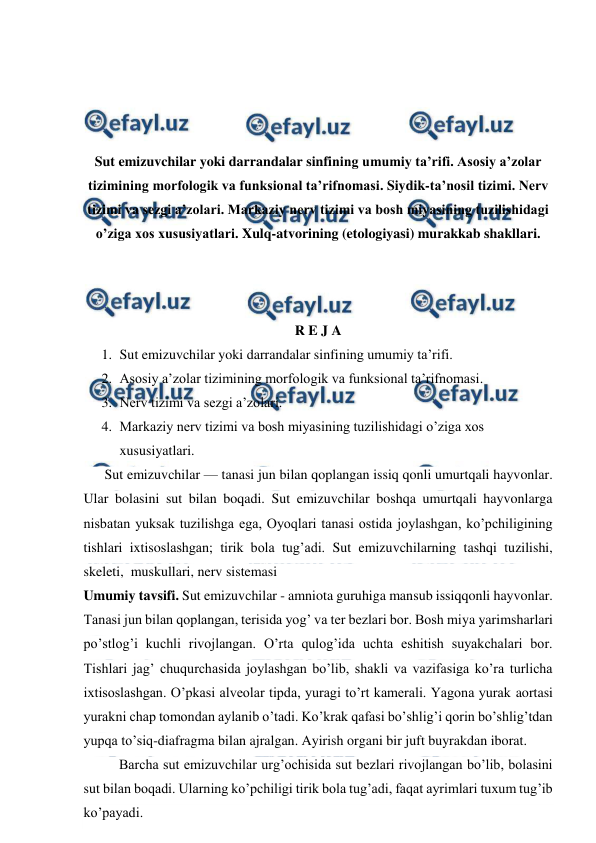  
 
 
 
 
 
Sut emizuvchilar yoki darrandalar sinfining umumiy ta’rifi. Asosiy a’zolar 
tizimining morfologik va funksional ta’rifnomasi. Siydik-ta’nosil tizimi. Nerv 
tizimi va sezgi a’zolari. Markaziy nerv tizimi va bosh miyasining tuzilishidagi 
o’ziga xos xususiyatlari. Xulq-atvorining (etologiyasi) murakkab shakllari. 
 
 
 
R E J A 
1. Sut emizuvchilar yoki darrandalar sinfining umumiy ta’rifi. 
2. Asosiy a’zolar tizimining morfologik va funksional ta’rifnomasi. 
3. Nerv tizimi va sezgi a’zolari. 
4. Markaziy nerv tizimi va bosh miyasining tuzilishidagi o’ziga xos 
xususiyatlari. 
      Sut emizuvchilar — tanasi jun bilan qoplangan issiq qonli umurtqali hayvonlar. 
Ular bolasini sut bilan boqadi. Sut emizuvchilar boshqa umurtqali hayvonlarga 
nisbatan yuksak tuzilishga ega, Oyoqlari tanasi ostida joylashgan, ko’pchiligining 
tishlari ixtisoslashgan; tirik bola tug’adi. Sut emizuvchilarning tashqi tuzilishi, 
skeleti,  muskullari, nerv sistemasi 
Umumiy tavsifi. Sut emizuvchilar - amniota guruhiga mansub issiqqonli hayvonlar. 
Tanasi jun bilan qoplangan, terisida yog’ va ter bezlari bor. Bosh miya yarimsharlari 
po’stlog’i kuchli rivojlangan. O’rta qulog’ida uchta eshitish suyakchalari bor. 
Tishlari jag’ chuqurchasida joylashgan bo’lib, shakli va vazifasiga ko’ra turlicha 
ixtisoslashgan. O’pkasi alveolar tipda, yuragi to’rt kamerali. Yagona yurak aortasi 
yurakni chap tomondan aylanib o’tadi. Ko’krak qafasi bo’shlig’i qorin bo’shlig’tdan 
yupqa to’siq-diafragma bilan ajralgan. Ayirish organi bir juft buyrakdan iborat. 
Barcha sut emizuvchilar urg’ochisida sut bezlari rivojlangan bo’lib, bolasini 
sut bilan boqadi. Ularning ko’pchiligi tirik bola tug’adi, faqat ayrimlari tuxum tug’ib 
ko’payadi. 
