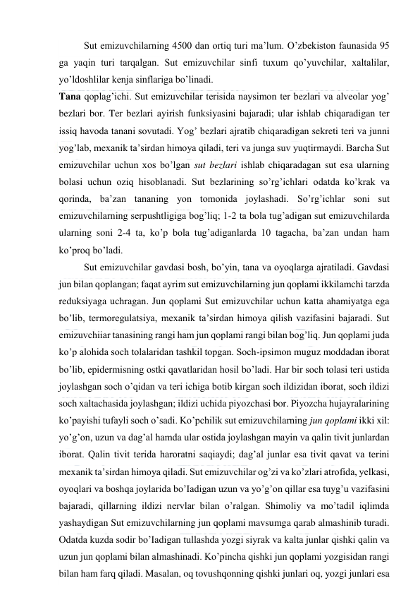  
 
Sut emizuvchilarning 4500 dan ortiq turi ma’lum. O’zbekiston faunasida 95 
ga yaqin turi tarqalgan. Sut emizuvchilar sinfi tuxum qo’yuvchilar, xaltalilar, 
yo’ldoshlilar kenja sinflariga bo’linadi. 
Tana qoplag’ichi. Sut emizuvchilar terisida naysimon ter bezlari va alveolar yog’ 
bezlari bor. Ter bezlari ayirish funksiyasini bajaradi; ular ishlab chiqaradigan ter 
issiq havoda tanani sovutadi. Yog’ bezlari ajratib chiqaradigan sekreti teri va junni 
yog’lab, mexanik ta’sirdan himoya qiladi, teri va junga suv yuqtirmaydi. Barcha Sut 
emizuvchilar uchun xos bo’lgan sut bezlari ishlab chiqaradagan sut esa ularning 
bolasi uchun oziq hisoblanadi. Sut bezlarining so’rg’ichlari odatda ko’krak va 
qorinda, ba’zan tananing yon tomonida joylashadi. So’rg’ichlar soni sut 
emizuvchilarning serpushtligiga bog’liq; 1-2 ta bola tug’adigan sut emizuvchilarda 
ularning soni 2-4 ta, ko’p bola tug’adiganlarda 10 tagacha, ba’zan undan ham 
ko’proq bo’ladi. 
Sut emizuvchilar gavdasi bosh, bo’yin, tana va oyoqlarga ajratiladi. Gavdasi 
jun bilan qoplangan; faqat ayrim sut emizuvchilarning jun qoplami ikkilamchi tarzda 
reduksiyaga uchragan. Jun qoplami Sut emizuvchilar uchun katta ahamiyatga ega 
bo’lib, termoregulatsiya, mexanik ta’sirdan himoya qilish vazifasini bajaradi. Sut 
emizuvchiiar tanasining rangi ham jun qoplami rangi bilan bog’liq. Jun qoplami juda 
ko’p alohida soch tolalaridan tashkil topgan. Soch-ipsimon muguz moddadan iborat 
bo’lib, epidermisning ostki qavatlaridan hosil bo’ladi. Har bir soch tolasi teri ustida 
joylashgan soch o’qidan va teri ichiga botib kirgan soch ildizidan iborat, soch ildizi 
soch xaltachasida joylashgan; ildizi uchida piyozchasi bor. Piyozcha hujayralarining 
ko’payishi tufayli soch o’sadi. Ko’pchilik sut emizuvchilarning jun qoplami ikki xil: 
yo’g’on, uzun va dag’al hamda ular ostida joylashgan mayin va qalin tivit junlardan 
iborat. Qalin tivit terida haroratni saqiaydi; dag’al junlar esa tivit qavat va terini 
mexanik ta’sirdan himoya qiladi. Sut emizuvchilar og’zi va ko’zlari atrofida, yelkasi, 
oyoqlari va boshqa joylarida bo’Iadigan uzun va yo’g’on qillar esa tuyg’u vazifasini 
bajaradi, qillarning ildizi nervlar bilan o’ralgan. Shimoliy va mo’tadil iqlimda 
yashaydigan Sut emizuvchilarning jun qoplami mavsumga qarab almashinib turadi. 
Odatda kuzda sodir bo’Iadigan tullashda yozgi siyrak va kalta junlar qishki qalin va 
uzun jun qoplami bilan almashinadi. Ko’pincha qishki jun qoplami yozgisidan rangi 
bilan ham farq qiladi. Masalan, oq tovushqonning qishki junlari oq, yozgi junlari esa 
