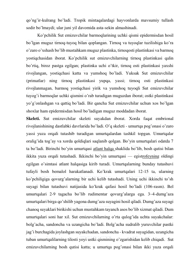  
 
qo’ng’ir-kulrang bo’ladi. Tropik mintaqalardagi hayvonlarda mavsumiy tullash 
sodir bo’lmaydi; ular juni yil davomida asta-sekin almashinadi. 
Ko’pchilik Sut emizuvchilar barmoqlarining uchki qismi epidermisdan hosil 
bo’lgan muguz tirnoq-tuyoq bilan qoplangan. Tirnoq va tuyoqlar tuzilishiga ko’ra 
o’zaro o’xshash bo’lib mustahkam muguz plastinka, tirnoqosti plastinkasi va barmoq 
yostiqchasidan iborat. Ko’pchilik sut emizuvchilarning tirnoq plastinkasi qalin 
bo’rtiq, biroz pastga egilgan; plastinka uchi o’tkir, tirnoq osti plastinkasi yaxshi 
rivojlangan, yostiqchasi katta va yumshoq bo’ladi. Yuksak Sut emizuvchilar 
(primatlar) ning tirnoq plastinkasi yupqa, yassi; tirnoq osti plastinkasi 
rivojlanmagan, barmoq yostiqchasi yirik va yumshoq tuyoqli Sut emizuvchilar 
tuyog’i barmoqlar uchki qismini o’rab turadigan muguzdan iborat; ostki plastinkasi 
yo’g’onlashgan va qattiq bo’ladi. Bir qancha Sut emizuvchilar uchun xos bo’lgan 
shoxlar ham epidermisdan hosil bo’ladigan muguz moddadan iborat. 
Skeleti. Sut emizuvchilar skeleti suyakdan iborat. Xorda faqat embrional 
rivojlanishining dastlabki davrlarida bo’ladi. O’q skeleti - umurtqa pog’onasi o’zaro 
yassi yuza orqali tutashib turadigan umurtqalardan tashkil topgan. Umurtqalar 
oralig’ida tog’ay va xorda qoldiqlari saqlanib qolgan. Bo’yin umurtqalari odatda 7 
ta bo’ladi. Birinchi bo’yin umurtqasi atlant halqa shaklida bo’lib, bosh qutisi bilan 
ikkita yuza orqali tutashadi. Ikkinchi bo’yin umurtqasi — egistrofeyning oldingi 
egilgan o’simtasi atlant halqasiga kirib turadi. Umurtqalarning bunday tutashuvi 
tufayli bosh bemalol harakatlanadi. Ko’krak umurtqalari 12-15 ta, ularning 
ko’pchiligiga qovurg’alarning bir uchi kelib tutashadi. Uning uchi ikkinchi to’sh 
suyagi bilan tutashuvi natijasida ko’krak qafasi hosil bo’ladi (106-rasm). Bel 
umurtqalari 2-9 tagacha bo’lib rudimentar qovurg’alarga ega. 3~4-dumg’aza 
umurtqalari birga qo’shilib yagona dumg’aza suyagini hosil qiladi. Dumg’aza suyagi 
chanoq suyaklari birikishi uchun mustahkam tayanch asos bo’lib xizmat qiladi. Dum 
umurtqalari soni har xil. Sut emizuvchilarning o’rta qulog’ida uchta suyakchalar: 
bolg’acha, sandoncha va uzangicha bo’ladi. Bolg’acha sudralib yuruvchilar pastki 
jag’i burchagida joylashgan suyakchadan, sandoncha - kvadrat suyagidan, uzangicha 
tuban umurtqalilarning tilosti yoyi ustki qismining o’zgarishidan kelib chiqadi.  Sut 
emizuvchilarning bosh qutisi katta; u umurtqa pog’onasi bilan ikki yuza orqali 
