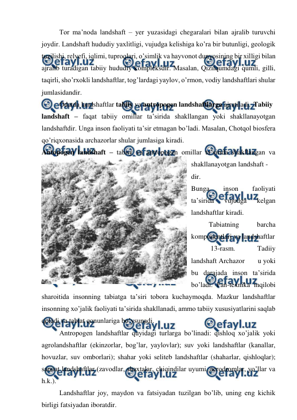  
 
 
Tor ma’noda landshaft – yer yuzasidagi chegaralari bilan ajralib turuvchi 
joydir. Landshaft hududiy yaxlitligi, vujudga kelishiga ko’ra bir butunligi, geologik 
tuzilishi, relyefi, iqlimi, tuproqlari, o’simlik va hayvonot dunyosining bir xilligi bilan 
ajralib turadigan tabiiy hududiy kompleksdir. Masalan, Qizilqumdagi qumli, gilli, 
taqirli, sho’rxokli landshaftlar, tog’lardagi yaylov, o’rmon, vodiy landshaftlari shular 
jumlasidandir.  
 
Odatda landshaftlar tabiiy va antropogen landshaftlarga ajratiladi.  Tabiiy 
landshaft – faqat tabiiy omillar ta’sirida shakllangan yoki shakllanayotgan 
landshaftdir. Unga inson faoliyati ta’sir etmagan bo’ladi. Masalan, Chotqol biosfera 
qo’riqxonasida archazorlar shular jumlasiga kiradi.  
Antopogen landshaft – tabiiy va antropogen omillar ta’sirida shakllangan va 
shakllanayotgan landshaft -  
dir.                  
Bunga 
inson 
faoliyati        
ta’sirida 
vujudga 
kelgan 
landshaftlar kiradi.   
Tabiatning 
barcha 
komponentlari va landshaftlar 
 13-rasm. 
Tadiiy 
landshaft Archazor       u yoki 
bu darajada inson ta’sirida 
bo’ladi. Fan-texnika inqilobi 
sharoitida insonning tabiatga ta’siri tobora kuchaymoqda. Mazkur landshaftlar 
insonning xo’jalik faoliyati ta’sirida shakllanadi, ammo tabiiy xususiyatlarini saqlab 
qoladi va tabiat qonunlariga bo’ysunadi. 
 
Antropogen landshaftlar quyidagi turlarga bo’linadi: qishloq xo’jalik yoki 
agrolandshaftlar (ekinzorlar, bog’lar, yaylovlar); suv yoki landshaftlar (kanallar, 
hovuzlar, suv omborlari); shahar yoki seliteb landshaftlar (shaharlar, qishloqlar); 
sanoat landshaftlar (zavodlar, shaxtalar, chiqindilar uyumi, aerodromlar, yo’llar va 
h.k.). 
 
Landshaftlar joy, maydon va fatsiyadan tuzilgan bo’lib, uning eng kichik 
birligi fatsiyadan iboratdir.  
