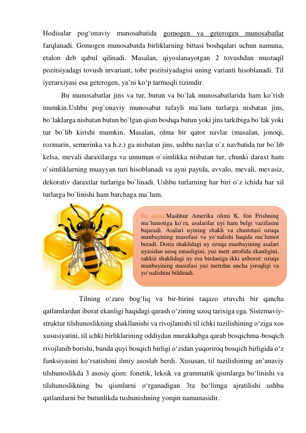 Hodisalar pog‘onaviy munosabatida gomogen va geterogen munosabatlar 
farqlanadi. Gomogen munosabatda birliklarning bittasi boshqalari uchun namuna, 
etalon deb qabul qilinadi. Masalan, qiyoslanayotgan 2 tovushdan mustaqil 
pozitsiyadagi tovush invariant, tobe pozitsiyadagisi uning varianti hisoblanadi. Til 
iyerarxiyasi esa geterogen, ya’ni ko‘p tarmoqli tizimdir.  
Bu munosabatlar jins va tur, butun va bo`lak munosabatlarida ham ko’rish 
mumkin.Ushbu pog`onaviy munosabat tufayli ma`lum turlarga nisbatan jins, 
bo`laklarga nisbatan butun bo`lgan qism boshqa butun yoki jins tarkibiga bo`lak yoki 
tur bo`lib kirishi mumkin. Masalan, olma bir qator navlar (masalan, jonoqi, 
rozmarin, semerinka va h.z.) ga nisbatan jins, ushbu navlar o`z navbatida tur bo`lib 
kelsa, mevali daraxtlarga va umuman o`simlikka nisbatan tur, chunki daraxt ham 
o`simliklarning muayyan turi hisoblanadi va ayni paytda, avvalo, mevali, mevasiz, 
dekorativ daraxtlar turlariga bo`linadi. Ushbu turlarning har biri o`z ichida har xil 
turlarga bo`linishi ham barchaga ma`lum.  
 
          Tilning o‘zaro bog‘liq va bir-birini taqazo etuvchi bir qancha 
qatlamlardan iborat ekanligi haqidagi qarash o‘zining uzoq tarixiga ega. Sistemaviy-
struktur tilshunoslikning shakllanishi va rivojlanishi til ichki tuzilishining o‘ziga xos 
xususiyatini, til ichki birliklarining oddiydan murakkabga qarab bosqichma-bosqich 
rivojlanib borishi, bunda quyi bosqich birligi o‘zidan yuqoriroq bosqich birligida o‘z 
funksiyasini ko‘rsatishini ilmiy asoslab berdi. Xususan, til tuzilishining an’anaviy 
tilshunoslikda 3 asosiy qism: fonetik, leksik va grammatik qismlarga bo‘linishi va 
tilshunoslikning bu qismlarni o‘rganadigan 3ta bo‘limga ajratilishi ushbu 
qatlamlarni bir butunlikda tushunishning yorqin namunasidir.  
Bu qiziq!Mashhur Amerika olimi K. fon Frishning 
ma`lumotiga ko`ra, asalarilar uyi ham belgi vazifasini 
bajaradi. Asalari uyining shakli va chastotasi ozuqa 
manbayining masofasi va yo`nalishi haqida ma`lumot 
beradi. Doira shaklidagi uy ozuqa manbayining asalari 
uyasidan uzoq emasligini, yuz metr atrofida ekanligini, 
sakkiz shaklidagi uy esa birdaniga ikki axborot: ozuqa 
manbayining masofasi yuz metrdan uncha yiroqligi va 
yo`nalishini bildiradi. 

