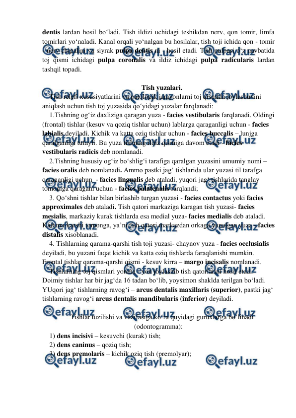  
 
dentis lardan hosil bo‘ladi. Tish ildizi uchidagi teshikdan nerv, qon tomir, limfa 
tomirlari yo‘naladi. Kanal orqali yo‘nalgan bu hosilalar, tish toji ichida qon - tomir 
- nerv chigalini va siyrak pulpa dentis ni - hosil etadi. Tish pulpasi o‘z navbatida 
toj qismi ichidagi pulpa coronalis va ildiz ichidagi pulpa radicularis lardan 
tashqil topadi.  
  
Tish yuzalari. 
Tish relefi xususiyatlarini va patologik jarayonlarni toj qismida joylashuvini 
aniqlash uchun tish toj yuzasida qo‘yidagi yuzalar farqlanadi: 
1.Tishning og‘iz daxliziga qaragan yuza - facies vestibularis farqlanadi. Oldingi 
(frontal) tishlar (kesuv va qoziq tishlar uchun) lablarga qaraganligi uchun - facies 
labialis deyiladi. Kichik va katta oziq tishlar uchun - facies buccalis – lunjga 
qaralganligi tufayli. Bu yuza tishning ildiz qismiga davom etadi - facies 
vestibularis radicis deb nomlanadi. 
2.Tishning hususiy og‘iz bo‘shlig‘i tarafiga qaralgan yuzasini umumiy nomi – 
facies oralis deb nomlanadi. Ammo pastki jag‘ tishlarida ular yuzasi til tarafga 
qaraganligi uchun  - facies lingualis deb ataladi, yuqori jag‘ tishlarida tanglay 
tomoniga qaragani uchun - facies palatenalis farqlandi;  
3. Qo‘shni tishlar bilan birlashib turgan yuzasi - facies contactus yoki facies 
approximales deb ataladi. Tish qatori markaziga karagan tish yuzasi- facies 
mesialis, markaziy kurak tishlarda esa medial yuza- facies medialis deb ataladi. 
Karama-karshi tomonga, ya’ni tish qatori markazdan orkaga yunalgan yuza - facies 
distalis xisoblanadi. 
4. Tishlarning qarama-qarshi tish toji yuzasi- chaynov yuza - facies occlusialis 
deyiladi, bu yuzani faqat kichik va katta oziq tishlarda faraqlanishi mumkin. 
Frontal tishlar qarama-qarshi qismi - kesuv kirra – margo incisalis nomlanadi. 
Tishlarning toj qismlari yonma - yon joylashib tish qatorlarini hosil etadi. 
Doimiy tishlar har bir jag‘da 16 tadan bo‘lib, yoysimon shaklda terilgan bo‘ladi. 
YUqori jag‘ tishlarning ravog‘i – arcus dentalis maxillaris (superior), pastki jag‘ 
tishlarning ravog‘i arcus dentalis mandibularis (inferior) deyiladi.  
 
Tishlar tuzilishi va vazifasiga ko‘ra quyidagi guruxlarga bo‘linadi 
(odontogramma):  
1) dens incisivi – kesuvchi (kurak) tish; 
2) dens caninus – qoziq tish; 
3) dens premolaris – kichik oziq tish (premolyar);  

