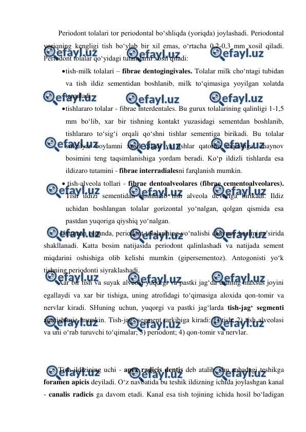  
 
Periodont tolalari tor periodontal bo‘shliqda (yoriqda) joylashadi. Periodontal 
yoriqning kengligi tish bo‘ylab bir xil emas, o‘rtacha 0,2-0,3 mm xosil qiladi. 
Periodont tolalar qo‘yidagi tutamlarni xosil qiladi:  
 
tish-milk tolalari – fibrae dentogingivales. Tolalar milk cho‘ntagi tubidan 
va tish ildiz sementidan boshlanib, milk to‘qimasiga yoyilgan xolatda 
tarqaladi 
 
tishlararo tolalar - fibrae interdentales. Bu gurux tolalarining qalinligi 1-1,5 
mm bo‘lib, xar bir tishning kontakt yuzasidagi sementdan boshlanib, 
tishlararo to‘sig‘i orqali qo‘shni tishlar sementiga birikadi. Bu tolalar 
sirkulyar boylamni xosil qiladi va tishlar qatorini saqlashga, chaynov 
bosimini teng taqsimlanishiga yordam beradi. Ko‘p ildizli tishlarda esa 
ildizaro tutamini - fibrae interradialesni farqlanish mumkin.   
 
 tish-alveola tollari - fibrae dentoalveolares (fibrae cementoalveolares). 
Tish ildizi sementidan boshlanib tish alveola devoriga birikadi. Ildiz 
uchidan boshlangan tolalar gorizontal yo‘nalgan, qolgan qismida esa 
pastdan yuqoriga qiyshiq yo‘nalgan.  
 Umuman olganda, periodont tolalarining yo‘nalishi chaynov bosimi ta’sirida 
shakllanadi. Katta bosim natijasida periodont qalinlashadi va natijada sement 
miqdarini oshishiga olib kelishi mumkin (gipersementoz). Antogonisti yo‘k 
tishning periodonti siyraklashadi.   
Xar bir tish va suyak alveola yuqorgi va pastki jag‘da uzining maxsus joyini 
egallaydi va xar bir tishiga, uning atrofidagi to‘qimasiga aloxida qon-tomir va 
nervlar kiradi. SHuning uchun, yuqorgi va pastki jag‘larda tish-jag‘ segmenti 
ajratishimiz mumkin. Tish-jag‘ segment tarkibiga kiradi: 1) tish; 2) tish alveolasi 
va uni o‘rab turuvchi to‘qimalar; 3) periodont; 4) qon-tomir va nervlar. 
 
 
Tish ildizining uchi - apex radicis dentis deb atalib, shu sohadagi teshikga 
foramen apicis deyiladi. O‘z navbatida bu teshik ildizning ichida joylashgan kanal 
- canalis radicis ga davom etadi. Kanal esa tish tojining ichida hosil bo‘ladigan 

