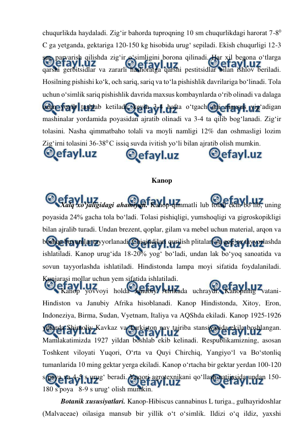  
 
chuqurlikda haydaladi. Zig‘ir bahorda tuproqning 10 sm chuqurlikdagi harorat 7-80 
C ga yetganda, gektariga 120-150 kg hisobida urug‘ sepiladi. Ekish chuqurligi 12-3 
sm, parvarish qilishda zig‘ir o‘simligini borona qilinadi. Har xil begona o‘tlarga 
qarshi gerbitsidlar va zararli hashoratga qarshi pestitsidlar bilan ishlov beriladi. 
Hosilning pishishi ko‘k, och sariq, sariq va to‘la pishishlik davrilariga bo‘linadi. Tola 
uchun o‘simlik sariq pishishlik davrida maxsus kombaynlarda o‘rib olinadi va dalaga 
uzun yoyib tashlab ketiladi, keyin 3-4 hafta o‘tgach uni maxsus yig‘adigan 
mashinalar yordamida poyasidan ajratib olinadi va 3-4 ta qilib bog‘lanadi. Zig‘ir 
tolasini. Nasha qimmatbaho tolali va moyli namligi 12% dan oshmasligi lozim 
Zig‘irni tolasini 36-380 C issiq suvda ivitish yo‘li bilan ajratib olish mumkin. 
 
 
Kanop 
 
 
Xalq xo‘jaligidagi ahamiyati. Kanop-qimmatli lub tolali ekin bo‘lib, uning 
poyasida 24% gacha tola bo‘ladi. Tolasi pishiqligi, yumshoqligi va gigroskopikligi 
bilan ajralib turadi. Undan brezent, qoplar, gilam va mebel uchun material, arqon va 
boshqa buyumlar tayyorlanadi. Chiqindilari qurilish plitalari va qog‘oz tayyorlashda 
ishlatiladi. Kanop urug‘ida 18-20% yog‘ bo‘ladi, undan lak bo‘yoq sanoatida va 
sovun tayyorlashda ishlatiladi. Hindistonda lampa moyi sifatida foydalaniladi. 
Kunjarasi mollar uchun yem sifatida ishlatiladi.    
Kanop yovvoyi holda Janubiy Afrikada uchraydi. Kanopning vatani-
Hindiston va Janubiy Afrika hisoblanadi. Kanop Hindistonda, Xitoy, Eron, 
Indoneziya, Birma, Sudan, Vyetnam, Italiya va AQShda ekiladi. Kanop 1925-1926 
yillarda Shimoliy Kavkaz va Turkiston nav tajriba stansiyasida ekila boshlangan. 
Mamlakatimizda 1927 yildan boshlab ekib kelinadi. Respublikamizning, asosan 
Toshkent viloyati Yuqori, O‘rta va Quyi Chirchiq, Yangiyo‘l va Bo‘stonliq 
tumanlarida 10 ming gektar yerga ekiladi. Kanop o‘rtacha bir gektar yerdan 100-120 
s poya va 4-5 s urug‘ beradi. Yuqori agrotexnikani qo‘llash natijasida undan 150-
180 s poya   8-9 s urug‘ olish mumkin.  
Botanik xususiyatlari. Kanop-Hibiscus cannabinus L turiga., gulhayridoshlar 
(Malvaceae) oilasiga mansub bir yillik o‘t o‘simlik. Ildizi o‘q ildiz, yaxshi 
