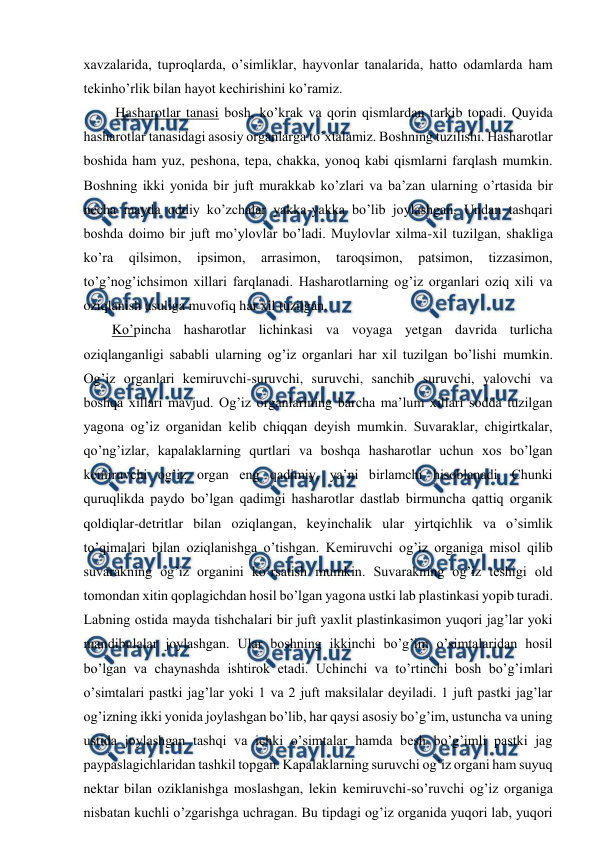  
 
xavzalarida, tuproqlarda, o’simliklar, hayvonlar tanalarida, hatto odamlarda ham 
tekinho’rlik bilan hayot kechirishini ko’ramiz. 
 Hasharotlar tanasi bosh, ko’krak va qorin qismlardan tarkib topadi. Quyida 
hasharotlar tanasidagi asosiy organlarga to’xtalamiz. Boshning tuzilishi. Hasharotlar 
boshida ham yuz, peshona, tepa, chakka, yonoq kabi qismlarni farqlash mumkin. 
Boshning ikki yonida bir juft murakkab ko’zlari va ba’zan ularning o’rtasida bir 
necha mayda oddiy ko’zchalar yakka-yakka bo’lib joylashgan. Undan tashqari 
boshda doimo bir juft mo’ylovlar bo’ladi. Muylovlar xilma-xil tuzilgan, shakliga 
ko’ra 
qilsimon, 
ipsimon, 
arrasimon, 
taroqsimon, 
patsimon, 
tizzasimon, 
to’g’nog’ichsimon xillari farqlanadi. Hasharotlarning og’iz organlari oziq xili va 
oziqlanish usuliga muvofiq har xil tuzilgan.  
Ko’pincha hasharotlar lichinkasi va voyaga yetgan davrida turlicha 
oziqlanganligi sababli ularning og’iz organlari har xil tuzilgan bo’lishi mumkin. 
Og’iz organlari kemiruvchi-suruvchi, suruvchi, sanchib suruvchi, yalovchi va 
boshqa xillari mavjud. Og’iz organlarining barcha ma’lum xillari sodda tuzilgan 
yagona og’iz organidan kelib chiqqan deyish mumkin. Suvaraklar, chigirtkalar, 
qo’ng’izlar, kapalaklarning qurtlari va boshqa hasharotlar uchun xos bo’lgan 
kemiruvchi og’iz organ eng qadimiy, ya’ni birlamchi hisoblanadi. Chunki 
quruqlikda paydo bo’lgan qadimgi hasharotlar dastlab birmuncha qattiq organik 
qoldiqlar-detritlar bilan oziqlangan, keyinchalik ular yirtqichlik va o’simlik 
to’qimalari bilan oziqlanishga o’tishgan. Kemiruvchi og’iz organiga misol qilib 
suvarakning og’iz organini ko’rsatish mumkin. Suvarakning og’iz teshigi old 
tomondan xitin qoplagichdan hosil bo’lgan yagona ustki lab plastinkasi yopib turadi. 
Labning ostida mayda tishchalari bir juft yaxlit plastinkasimon yuqori jag’lar yoki 
mandibulalar joylashgan. Ular boshning ikkinchi bo’g’im o’simtalaridan hosil 
bo’lgan va chaynashda ishtirok etadi. Uchinchi va to’rtinchi bosh bo’g’imlari 
o’simtalari pastki jag’lar yoki 1 va 2 juft maksilalar deyiladi. 1 juft pastki jag’lar 
og’izning ikki yonida joylashgan bo’lib, har qaysi asosiy bo’g’im, ustuncha va uning 
ustida joylashgan tashqi va ichki o’simtalar hamda besh bo’g’imli pastki jag 
paypaslagichlaridan tashkil topgan. Kapalaklarning suruvchi og’iz organi ham suyuq 
nektar bilan oziklanishga moslashgan, lekin kemiruvchi-so’ruvchi og’iz organiga 
nisbatan kuchli o’zgarishga uchragan. Bu tipdagi og’iz organida yuqori lab, yuqori 
