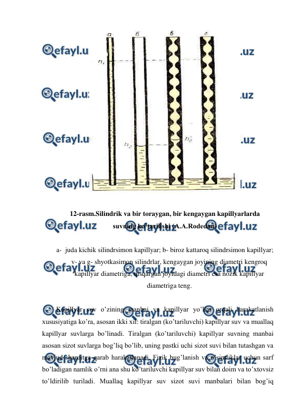  
 
 
 
12-rasm.Silindrik va bir toraygan, bir kengaygan kapillyarlarda  
suvning ko’tarilishi (A.A.Rodedan) 
 
a- juda kichik silindrsimon kapillyar; b- biroz kattaroq silindrsimon kapillyar; 
v- va g- shyotkasimon silindrlar, kengaygan joyining diametri kengroq 
kapillyar diametriga, qisqargan joyidagi diametri esa nozik kapillyar 
diametriga teng. 
 
Kapillyar suv o’zining manbai va kapillyar yo’llar orqali harakatlanish 
xususiyatiga ko’ra, asosan ikki xil: tiralgan (ko’tariluvchi) kapillyar suv va muallaq 
kapillyar suvlarga bo’linadi. Tiralgan (ko’tariluvchi) kapillyar suvning manbai 
asosan sizot suvlarga bog’liq bo’lib, uning pastki uchi sizot suvi bilan tutashgan va 
mavjud sharoitga qarab harakatlanadi. Fizik bug’lanish va o’simliklar uchun sarf 
bo’ladigan namlik o’rni ana shu ko’tariluvchi kapillyar suv bilan doim va to’xtovsiz 
to’ldirilib turiladi. Muallaq kapillyar suv sizot suvi manbalari bilan bog’iq 
