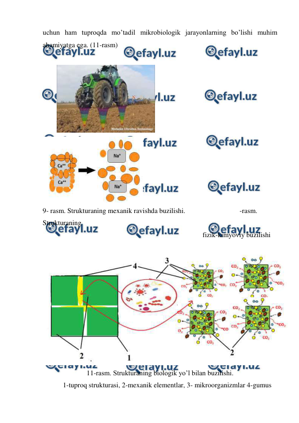  
 
uchun ham tuproqda mo’tadil mikrobiologik jarayonlarning bo’lishi muhim 
ahamiyatga ega. (11-rasm) 
 
        
                  
 
9- rasm. Strukturaning mexanik ravishda buzilishi. 
 
           -rasm. 
Strukturaning  
fizik-kimyoviy buzilishi  
 
 
11-rasm. Strukturaning biologik yo’l bilan buzilishi. 
1-tuproq strukturasi, 2-mexanik elementlar, 3- mikroorganizmlar 4-gumus 
