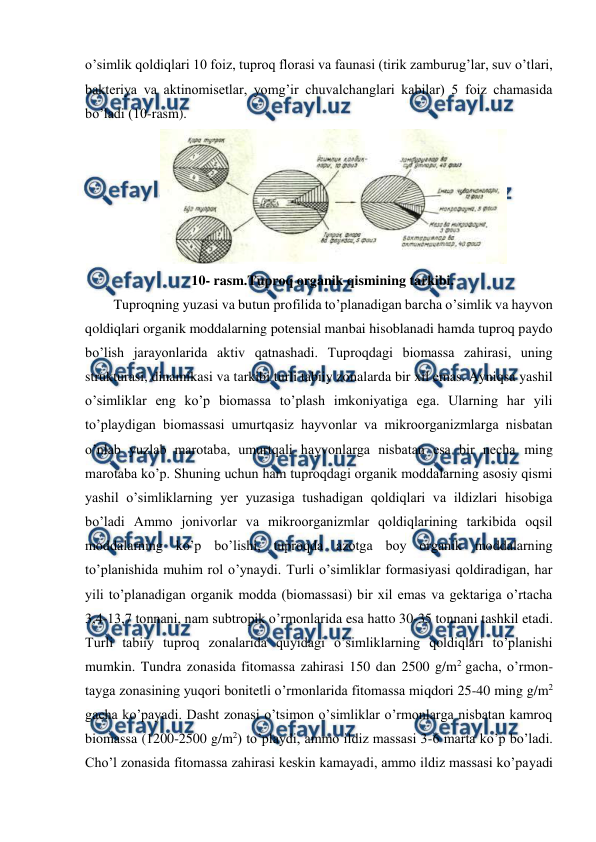  
 
o’simlik qoldiqlari 10 foiz, tuproq florasi va faunasi (tirik zamburug’lar, suv o’tlari, 
bakteriya va aktinomisetlar, yomg’ir chuvalchanglari kabilar) 5 foiz chamasida 
bo’ladi (10-rasm). 
 
10- rasm.Tuproq organik qismining tarkibi.  
Tuproqning yuzasi va butun profilida to’planadigan barcha o’simlik va hayvon 
qoldiqlari organik moddalarning potensial manbai hisoblanadi hamda tuproq paydo 
bo’lish jarayonlarida aktiv qatnashadi. Tuproqdagi biomassa zahirasi, uning 
strukturasi, dinamikasi va tarkibi turli tabiiy zonalarda bir xil emas. Ayniqsa yashil 
o’simliklar eng ko’p biomassa to’plash imkoniyatiga ega. Ularning har yili 
to’playdigan biomassasi umurtqasiz hayvonlar va mikroorganizmlarga nisbatan 
o’nlab yuzlab marotaba, umurtqali hayvonlarga nisbatan esa bir necha ming 
marotaba ko’p. Shuning uchun ham tuproqdagi organik moddalarning asosiy qismi 
yashil o’simliklarning yer yuzasiga tushadigan qoldiqlari va ildizlari hisobiga 
bo’ladi Ammo jonivorlar va mikroorganizmlar qoldiqlarining tarkibida oqsil 
moddalarning ko’p bo’lishi, tuproqda azotga boy organik moddalarning 
to’planishida muhim rol o’ynaydi. Turli o’simliklar formasiyasi qoldiradigan, har 
yili to’planadigan organik modda (biomassasi) bir xil emas va gektariga o’rtacha 
3,4-13,7 tonnani, nam subtropik o’rmonlarida esa hatto 30-35 tonnani tashkil etadi. 
Turli tabiiy tuproq zonalarida quyidagi o’simliklarning qoldiqlari to’planishi 
mumkin. Tundra zonasida fitomassa zahirasi 150 dan 2500 g/m2 gacha, o’rmon-
tayga zonasining yuqori bonitetli o’rmonlarida fitomassa miqdori 25-40 ming g/m2 
gacha ko’payadi. Dasht zonasi o’tsimon o’simliklar o’rmonlarga nisbatan kamroq 
biomassa (1200-2500 g/m2) to’playdi, ammo ildiz massasi 3-6 marta ko’p bo’ladi. 
Cho’l zonasida fitomassa zahirasi keskin kamayadi, ammo ildiz massasi ko’payadi 
