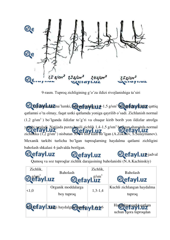  
 
 
 
9-rasm. Tuproq zichligining g’o’za ildizi rivojlanishiga ta’siri 
 
Tajribalardan ma’lumki, tuproq zichligi 1,4-1,5 g/sm3 bo’lganda, ildizlar qattiq 
qatlamni o’ta olmay, faqat ustki qatlamda yoniga qayrilib o’sadi. Zichlanish normal 
(1,2 g/sm3 ) bo’lganda ildizlar to’g’ri va chuqur kirib borib yon ildizlar atrofga 
yaxshi taraladi. Natijada paxta hosili zichlik 1,4-1,5 g/sm3 bo’lgan sharoitda normal 
zichlikka (1,2 g/sm3 ) nisbatan 30-34 foiz kam bo’lgan (A.Zokirov, S.Sulaymanov). 
Mexanik tarkibi turlicha bo’lgan tuproqlarning haydalma qatlami zichligini 
baholash shkalasi 4-jadvalda berilgan. 
4-jadval 
Qumoq va soz tuproqlar zichlik darajasining baholanishi (N.A.Kachinskiy) 
Zichlik, 
g/sm3 
Baholash  
Zichlik, 
g/sm3 
Baholash  
<1,0 
Organik moddalarga 
boy tuproq 
1,3-1,4 
Kuchli zichlangan haydalma 
tuproq 
1,0-1,1 
Yangi haydalgan tuproq 
1,4-1,6 
Haydalma ostki qatlam 
uchun (qora tuproqdan 
