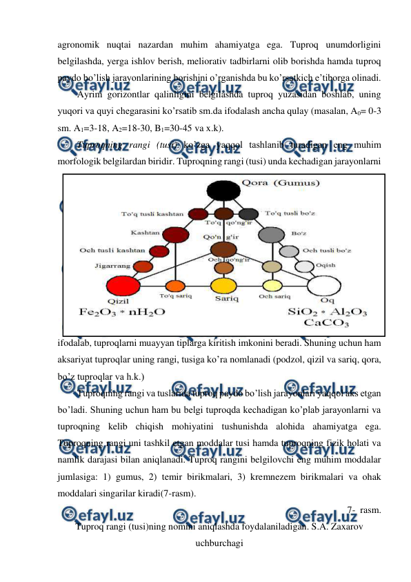  
 
agronomik nuqtai nazardan muhim ahamiyatga ega. Tuproq unumdorligini 
belgilashda, yerga ishlov berish, meliorativ tadbirlarni olib borishda hamda tuproq 
paydo bo’lish jarayonlarining borishini o’rganishda bu ko’rsatkich e’tiborga olinadi.  
Ayrim gorizontlar qalinligini belgilashda tuproq yuzasidan boshlab, uning 
yuqori va quyi chegarasini ko’rsatib sm.da ifodalash ancha qulay (masalan, A0= 0-3 
sm. A1=3-18, A2=18-30, B1=30-45 va x.k). 
Tuproqning rangi (tusi) ko’zga yaqqol tashlanib turadigan eng muhim 
morfologik belgilardan biridir. Tuproqning rangi (tusi) unda kechadigan jarayonlarni 
ifodalab, tuproqlarni muayyan tiplarga kiritish imkonini beradi. Shuning uchun ham 
aksariyat tuproqlar uning rangi, tusiga ko’ra nomlanadi (podzol, qizil va sariq, qora, 
bo’z tuproqlar va h.k.) 
Tuproqning rangi va tuslarida tuproq paydo bo’lish jarayonlari yaqqol aks etgan 
bo’ladi. Shuning uchun ham bu belgi tuproqda kechadigan ko’plab jarayonlarni va 
tuproqning kelib chiqish mohiyatini tushunishda alohida ahamiyatga ega. 
Tuproqning rangi uni tashkil etgan moddalar tusi hamda tuproqning fizik holati va 
namlik darajasi bilan aniqlanadi. Tuproq rangini belgilovchi eng muhim moddalar 
jumlasiga: 1) gumus, 2) temir birikmalari, 3) kremnezem birikmalari va ohak 
moddalari singarilar kiradi(7-rasm).  
7-  rasm.  
Tuproq rangi (tusi)ning nomini aniqlashda foydalaniladigan. S.A. Zaxarov 
uchburchagi 
 
