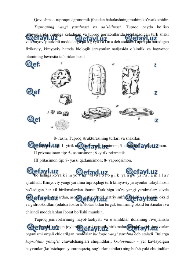  
 
Qovushma - tuproqni agronomik jihatdan baholashning muhim ko’rsatkichidir. 
Tuproqning yangi yaralmasi va qo’shilmasi. Tuproq paydo bo’lish 
jarayonlarida vujudga keladigan va tuproq gorizontlarida to’planadigan turli shakl 
va kimyoviy tarkibli moddalarga ya n g i ya r a l m a deb ataladi. Tuproqda boradigan 
fizikaviy, kimyoviy hamda biologik jarayonlar natijasida o’simlik va hayvonot 
olamining bevosita ta’siridan hosil  
 
8- rasm. Tuproq strukturasining turlari va shakllari 
I kubsimon tip: 1- yirik uvoqli; 2- yong’oqsimon; 3- donador; 4- changsimon. 
II prizmasimon tip: 5- ustunsimon; 6 -yirik prizmatik.  
III plitasimon tip: 7- yassi qatlamsimon; 8- yaproqsimon. 
 
bo’lishiga ko’ra k i m yo v i y  va  b i o l o g i k  ya n g i  ya r a l a m a l a r  
ajratiladi. Kimyoviy yangi yaralma tuproqdagi turli kimyoviy jarayonlar tufayli hosil 
bo’ladigan har xil birikmalardan iborat. Tarkibiga ko’ra yangi yaralmalar: suvda 
oson eriydigan tuzlardan, asosan natriy xlorid, natriy sulfat, kalsiy va magniy oksid 
va gidrooksidlari (odatda fosfor kislotasi bilan birga), temirning oksid birikmalari va 
chirindi moddalardan iborat bo’lishi mumkin.  
Tuproq jonivorlarining hayot-faoliyati va o’simliklar ildizining rivojlanishi 
davrida paydo bo’lgan joylarda har xil organik birikmalar hamda ayrim jonivorlar 
organizmi orqali chiqarilgan moddalar biologik yangi yaralma deb ataladi. Bularga 
koprolitlar yomg’ir chuvalchanglari chiqindilari; krotovinalar - yer kavlaydigan 
hayvonlar (ko’rsichqon, yumronqoziq, sug’urlar kabilar) ning bo’sh yoki chiqindilar 
