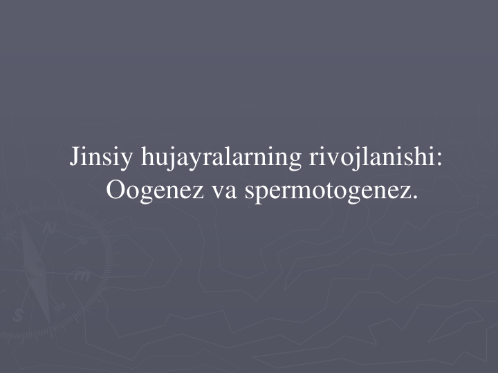 Jinsiy hujayralarning rivоjlanishi: 
Ооgenez va spеrmоtоgenez.
