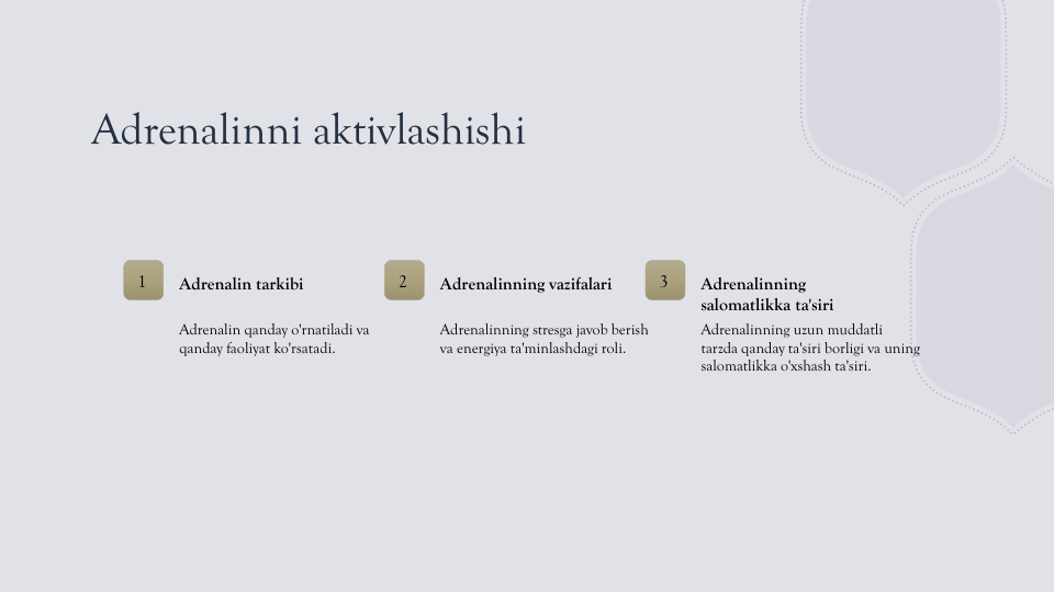 Adrenalinni aktivlashishi
1
Adrenalin tarkibi
Adrenalin qanday o'rnatiladi va 
qanday faoliyat ko'rsatadi.
2
Adrenalinning vazifalari
Adrenalinning stresga javob berish 
va energiya ta'minlashdagi roli.
3
Adrenalinning 
salomatlikka ta'siri
Adrenalinning uzun muddatli 
tarzda qanday ta'siri borligi va uning 
salomatlikka o'xshash ta'siri.
