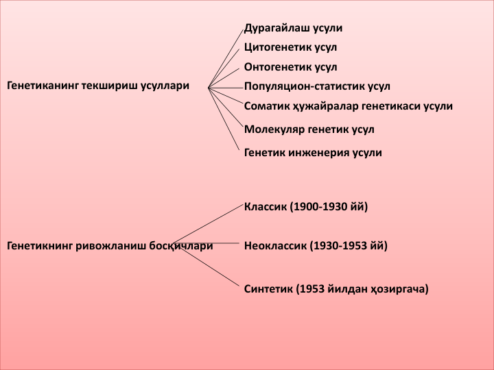 Генетиканинг текшириш усуллари
Дурагайлаш усули
Цитогенетик усул
Онтогенетик усул
Популяцион-статистик усул
Соматик ҳужайралар генетикаси усули
Молекуляр генетик усул
Генетик инженерия усули
Классик (1900-1930 йй)
Неоклассик (1930-1953 йй)
Синтетик (1953 йилдан ҳозиргача)
Генетикнинг ривожланиш босқичлари
