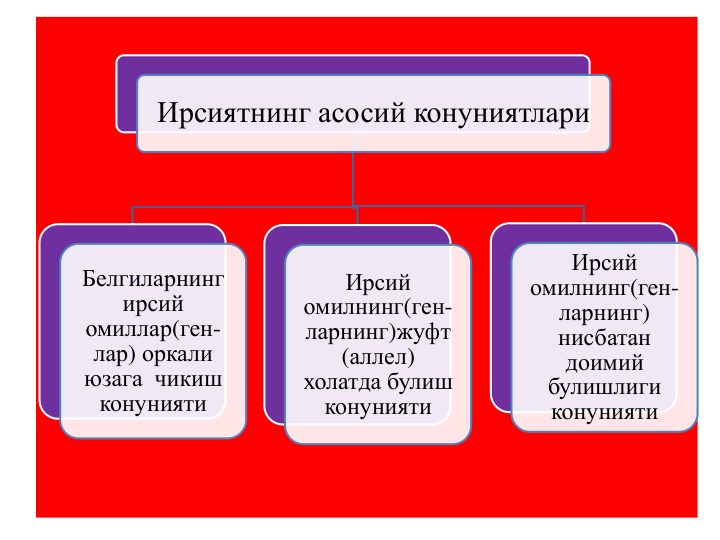 Ирсиятнинг асосий конуниятлари
Белгиларнинг
ирсий
омиллар(ген-
лар) оркали
юзага чикиш
конунияти
Ирсий
омилнинг(ген-
ларнинг)жуфт
(аллел)  
холатда булиш
конунияти
Ирсий
омилнинг(ген-
ларнинг) 
нисбатан
доимий
булишлиги
конунияти
