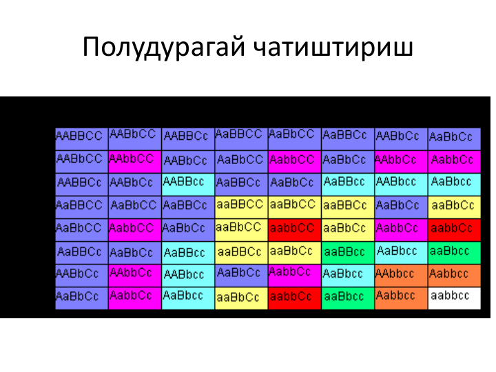 Полудурагай чатиштириш
