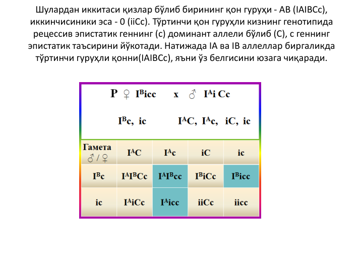 Шулардан иккитаси қизлар бўлиб бирининг қон гуруҳи - АB (IAIBCc), 
иккинчисиники эса - 0 (iiCc). Тўртинчи қон гуруҳли кизнинг генотипида
рецессив эпистатик геннинг (c) доминант аллели бўлиб (C), c геннинг
эпистатик таъсирини йўкотади. Натижада IА ва IB аллеллар биргаликда
тўртинчи гуруҳли қонни(IAIBCc), яъни ўз белгисини юзага чиқаради.
