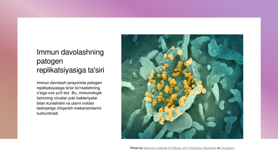 Immun davolashning 
patogen 
replikatsiyasiga ta'siri
Immun davolash jarayonida patogen 
replikatsiyasiga ta'sir ko'rsatishning 
o'ziga xos yo'li bor. Bu, immunologik 
tizimning viruslar yoki bakteriyalar 
bilan kurashishi va ularni noldan 
tashqariga chiqarish mekanizmlarini 
tushuntiradi.
Photo by National Institute of Allergy and Infectious Diseases on Unsplash
