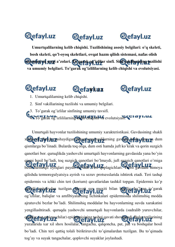  
 
 
 
 
 
Umurtqalilarning kelib chiqishi. Tuzilishining asosiy belgilari: o’q skeleti, 
bosh skeleti, qo’l-oyoq skeletlari, ovqat hazm qilish sistemasi, nafas olish 
sistemasi va sezgi a’zolari. To’garak og’izlilar sinfi. Sinf vakillarining tuzilishi 
va umumiy belgilari. To’garak og’izlililarning kelib chiqishi va evolutsiyasi. 
 
 
R E J A 
1. Umurtqalilarning kelib chiqishi. 
2. Sinf vakillarining tuzilishi va umumiy belgilari. 
3. To’garak og’izlilar sinfining umumiy tavsifi. 
4. To’garak og’izlililarning kelib chiqishi va evolutsiyasi. 
 
 Umurtqali hayvonlar tuzilishining umumiy xarakteristikasi. Gavdasining shakli 
xilma-xil. Suvda yashaydigan tuban umurtqalilarning gavdasi bosh, tana va dum 
qismlarga bo’linadi. Bularda toq orqa, dum osti hamda juft ko’krak va qorin suzgich 
qanotlari bor. quruqlikda yashovchi umurtqali hayvonlarning gavdasida yana bo’yin 
qismi hosil bo’ladi, toq suzgich qanotlari bo’lmaydi, juft suzgich qanotlari o’rniga 
besh barmoqli oyoqlari paydo bo’ladi. Teri qoplagichlari. Terisi gavdani himoya 
qilishda termoregulyatsiya ayrish va sezuv protsesslarida ishtirok etadi. Teri tashqi 
epidermis va ichki chin teri (korium) qavatlaridan tashkil topgan. Epidermis ko’p 
qavatli epiteliydan tuzilgan. Hayoti suv muxiti bilan bog’liq bo’lgan to’garak 
og’izlilar, baliqlar va amfibiyalarning lichinkalari epidermisida shilimshiq modda 
ajratuvchi bezlar bo’ladi. Shilimshiq moddalar bu hayvonlarning suvda xarakatini 
yengillashtiradi. quruqda yashovchi umurtqali hayvonlarda (sudralib yuruvchilar, 
qushlar, sut emizuvchilar) epidermisining tashqi qavati shoxlanadi. Bular terilarining 
yuzalarida xar xil shox hosilalar, tangacha, qalqoncha, pat, jun va boshqalar hosil 
bo’ladi. Chin teri qattiq tolali biriktiruvchi to’qimalardan tuzilgan. Bu to’qimada 
tog’ay va suyak tangachalar, qoplovchi suyaklar joylashadi. 
