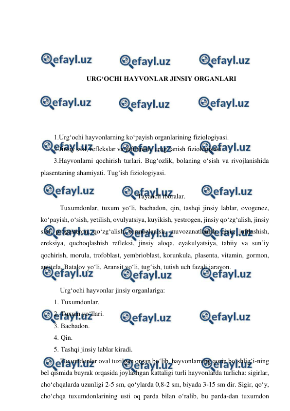  
 
 
 
 
 
URG‘OCHI HAYVONLAR JINSIY ORGANLARI 
 
 
 
 
1.Urg‘ochi hayvonlarning ko‘payish organlarining fiziologiyasi. 
2.Jinsiy sikl, reflekslar va juftlanish, urug‘lanish fiziologiyasi. 
3.Hayvonlarni qochirish turlari. Bug‘ozlik, bolaning o‘sish va rivojlanishida 
plasentaning ahamiyati. Tug‘ish fiziologiyasi. 
 
Tayanch iboralar. 
 Tuxumdonlar, tuxum yo‘li, bachadon, qin, tashqi jinsiy lablar, ovogenez, 
ko‘payish, o‘sish, yetilish, ovulyatsiya, kuyikish, yestrogen, jinsiy qo‘zg‘alish, jinsiy 
sikl, progesteron, qo‘zg‘alish, tormozlanish, muvozanatlanish, qisir, juftlashish, 
ereksiya, quchoqlashish refleksi, jinsiy aloqa, eyakulyatsiya, tabiiy va sun’iy 
qochirish, morula, trofoblast, yembrioblast, korunkula, plasenta, vitamin, gormon, 
antitela, Batalov yo‘li, Aransit yo‘li, tug‘ish, tutish uch fazali jarayon. 
 
 Urg‘ochi hayvonlar jinsiy organlariga: 
1. Tuxumdonlar. 
2. Tuxum yo‘llari. 
3. Bachadon. 
4. Qin. 
5. Tashqi jinsiy lablar kiradi. 
 Tuxumdonlar oval tuzilgan organ bo‘lib, hayvonlarning qorin bo‘shlig‘i-ning 
bel qismida buyrak orqasida joylashgan kattaligi turli hayvonlarda turlicha: sigirlar, 
cho‘chqalarda uzunligi 2-5 sm, qo‘ylarda 0,8-2 sm, biyada 3-15 sm dir. Sigir, qo‘y, 
cho‘chqa tuxumdonlarining usti oq parda bilan o‘ralib, bu parda-dan tuxumdon 
