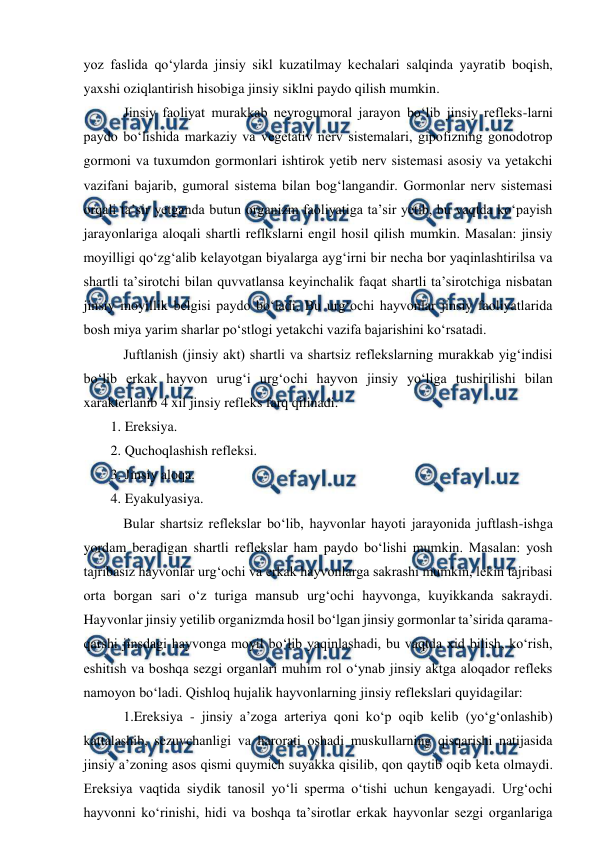  
 
yoz faslida qo‘ylarda jinsiy sikl kuzatilmay kechalari salqinda yayratib boqish, 
yaxshi oziqlantirish hisobiga jinsiy siklni paydo qilish mumkin. 
 Jinsiy faoliyat murakkab neyrogumoral jarayon bo‘lib jinsiy refleks-larni 
paydo bo‘lishida markaziy va vegetativ nerv sistemalari, gipofizning gonodotrop 
gormoni va tuxumdon gormonlari ishtirok yetib nerv sistemasi asosiy va yetakchi 
vazifani bajarib, gumoral sistema bilan bog‘langandir. Gormonlar nerv sistemasi 
orqali ta’sir yetganda butun organizm faoliyatiga ta’sir yetib, bu vaqtda ko‘payish 
jarayonlariga aloqali shartli reflkslarni engil hosil qilish mumkin. Masalan: jinsiy 
moyilligi qo‘zg‘alib kelayotgan biyalarga ayg‘irni bir necha bor yaqinlashtirilsa va 
shartli ta’sirotchi bilan quvvatlansa keyinchalik faqat shartli ta’sirotchiga nisbatan 
jinsiy moyillik belgisi paydo bo‘ladi. Bu urg‘ochi hayvonlar jinsiy faoliyatlarida 
bosh miya yarim sharlar po‘stlogi yetakchi vazifa bajarishini ko‘rsatadi. 
 Juftlanish (jinsiy akt) shartli va shartsiz reflekslarning murakkab yig‘indisi 
bo‘lib erkak hayvon urug‘i urg‘ochi hayvon jinsiy yo‘liga tushirilishi bilan 
xarakterlanib 4 xil jinsiy refleks farq qilinadi. 
1. Ereksiya. 
2. Quchoqlashish refleksi. 
3. Jinsiy aloqa. 
4. Eyakulyasiya. 
 Bular shartsiz reflekslar bo‘lib, hayvonlar hayoti jarayonida juftlash-ishga 
yordam beradigan shartli reflekslar ham paydo bo‘lishi mumkin. Masalan: yosh 
tajribasiz hayvonlar urg‘ochi va erkak hayvonlarga sakrashi mumkin, lekin tajribasi 
orta borgan sari o‘z turiga mansub urg‘ochi hayvonga, kuyikkanda sakraydi. 
Hayvonlar jinsiy yetilib organizmda hosil bo‘lgan jinsiy gormonlar ta’sirida qarama-
qarshi jinsdagi hayvonga moyil bo‘lib yaqinlashadi, bu vaqtda xid bilish, ko‘rish, 
eshitish va boshqa sezgi organlari muhim rol o‘ynab jinsiy aktga aloqador refleks 
namoyon bo‘ladi. Qishloq hujalik hayvonlarning jinsiy reflekslari quyidagilar: 
 1.Ereksiya - jinsiy a’zoga arteriya qoni ko‘p oqib kelib (yo‘g‘onlashib) 
kattalashib, sezuvchanligi va harorati oshadi muskullarning qisqarishi natijasida 
jinsiy a’zoning asos qismi quymich suyakka qisilib, qon qaytib oqib keta olmaydi. 
Ereksiya vaqtida siydik tanosil yo‘li sperma o‘tishi uchun kengayadi. Urg‘ochi 
hayvonni ko‘rinishi, hidi va boshqa ta’sirotlar erkak hayvonlar sezgi organlariga 
