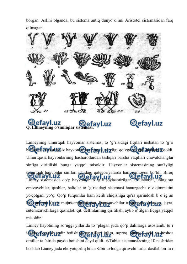  
 
borgan. Aslini olganda, bu sistema antiq dunyo olimi Aristotel sistemasidan farq 
qilmagan. 
 
 
Q. Linneyning o'simliqlar sistemasi. 
 
Linneyning umurtqali hayvonlar sistemasi to ‘g‘risidagi fiqrlari nisbatan to ‘g‘ri 
bo‘lsa-da, umurtqasiz hayvonlarda uning sun’iyligi qo‘zga yaqqol tashlanib qoldi. 
Umurtqasiz hayvonlarning hasharotlardan tashqari barcha vaqillari chuvalchanglar 
sinfiga qiritilishi bunga yaqqol misoldir. Hayvonlar sistemasining sun'iyligi 
umurtqali hayvonlar sinflari ichidagi qategoriyalarda ham namoyon bo‘ldi. Biroq 
Linney sistemasida qo‘p hayvonlar to ‘g‘ri joylashtirilgan. Chunonchi, uning sut 
emizuvchilar, qushlar, baliqlar to ‘g‘risidagi sistemasi hanuzgacha o‘z qimmatini 
yo'qotgani yo‘q. Qo‘p turqumlar ham kelib chiqishiga qo'ra qarindosh b o ig an 
hayvonlarni o‘zida mujassamlashtirgan. Qemiruvchilar turqumiga olmaxon, jayra, 
sutemizuvchilarga qashalot, qit, delfmlarning qiritilishi aytib o‘tilgan fiqrga yaqqol 
misoldir. 
Linney hayotining so‘nggi yillarida to ‘plagan juda qo‘p dalillarga asoslanib, tu r 
ichida o'zgarish sodir boiishini, tur xillari iqlim, tuproq, shamol, oziq va boshqa 
omillar ta ’sirida paydo boiishini qayd qildi. ≪Tabiat sistemasi≫ning 10 nashridan 
boshlab Linney juda ehtiyotqorliq bilan ≪bir avlodga qiruvchi turlar dastlab bir tu r 
