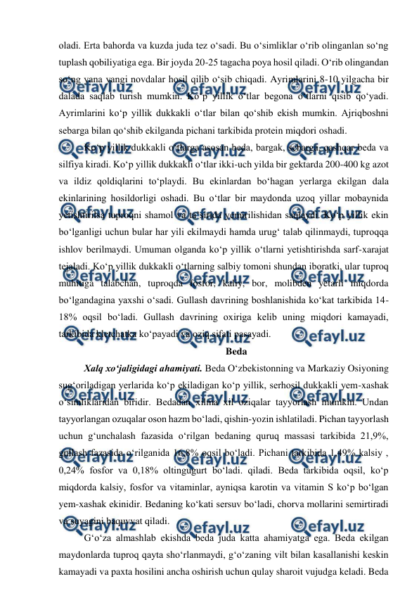  
 
oladi. Erta bahorda va kuzda juda tez o‘sadi. Bu o‘simliklar o‘rib olinganlan so‘ng 
tuplash qobiliyatiga ega. Bir joyda 20-25 tagacha poya hosil qiladi. O‘rib olingandan 
so‘ng yana yangi novdalar hosil qilib o‘sib chiqadi. Ayrimlarini 8-10 yilgacha bir 
dalada saqlab turish mumkin. Ko‘p yillik o‘tlar begona o‘tlarni qisib qo‘yadi. 
Ayrimlarini ko‘p yillik dukkakli o‘tlar bilan qo‘shib ekish mumkin. Ajriqboshni 
sebarga bilan qo‘shib ekilganda pichani tarkibida protein miqdori oshadi.  
Ko‘p yillik dukkakli o‘tlarga asosan beda, bargak, sebarga, qashqar beda va 
silfiya kiradi. Ko‘p yillik dukkakli o‘tlar ikki-uch yilda bir gektarda 200-400 kg azot 
va ildiz qoldiqlarini to‘playdi. Bu ekinlardan bo‘hagan yerlarga ekilgan dala 
ekinlarining hosildorligi oshadi. Bu o‘tlar bir maydonda uzoq yillar mobaynida 
yetishtirilsa tuproqni shamol va ta’sirida yemirilishidan saqlaydi. Ko‘p yillik ekin 
bo‘lganligi uchun bular har yili ekilmaydi hamda urug‘ talab qilinmaydi, tuproqqa 
ishlov berilmaydi. Umuman olganda ko‘p yillik o‘tlarni yetishtirishda sarf-xarajat 
tejaladi. Ko‘p yillik dukkakli o‘tlarning salbiy tomoni shundan iboratki, ular tuproq 
muhitiga talabchan, tuproqda fosfor, kaliy, bor, molibden yetarli miqdorda 
bo‘lgandagina yaxshi o‘sadi. Gullash davrining boshlanishida ko‘kat tarkibida 14-
18% oqsil bo‘ladi. Gullash davrining oxiriga kelib uning miqdori kamayadi, 
tarkibida kletchatka ko‘payadi va oziq sifati pasayadi.  
Beda 
Xalq xo‘jaligidagi ahamiyati. Beda O‘zbekistonning va Markaziy Osiyoning 
sug‘oriladigan yerlarida ko‘p ekiladigan ko‘p yillik, serhosil dukkakli yem-xashak 
o‘simliklaridan biridir. Bedadan xilma xil oziqalar tayyorlash mumkin. Undan 
tayyorlangan ozuqalar oson hazm bo‘ladi, qishin-yozin ishlatiladi. Pichan tayyorlash 
uchun g‘unchalash fazasida o‘rilgan bedaning quruq massasi tarkibida 21,9%, 
gullash fazasida o‘rilganida 16,8% oqsil bo‘ladi. Pichani tarkibida 1,49% kalsiy , 
0,24% fosfor va 0,18% oltingugurt bo‘ladi. qiladi. Beda tarkibida oqsil, ko‘p 
miqdorda kalsiy, fosfor va vitaminlar, ayniqsa karotin va vitamin S ko‘p bo‘lgan 
yem-xashak ekinidir. Bedaning ko‘kati sersuv bo‘ladi, chorva mollarini semirtiradi 
va suyagini baquvvat qiladi. 
G‘o‘za almashlab ekishda beda juda katta ahamiyatga ega. Beda ekilgan 
maydonlarda tuproq qayta sho‘rlanmaydi, g‘o‘zaning vilt bilan kasallanishi keskin 
kamayadi va paxta hosilini ancha oshirish uchun qulay sharoit vujudga keladi. Beda 
