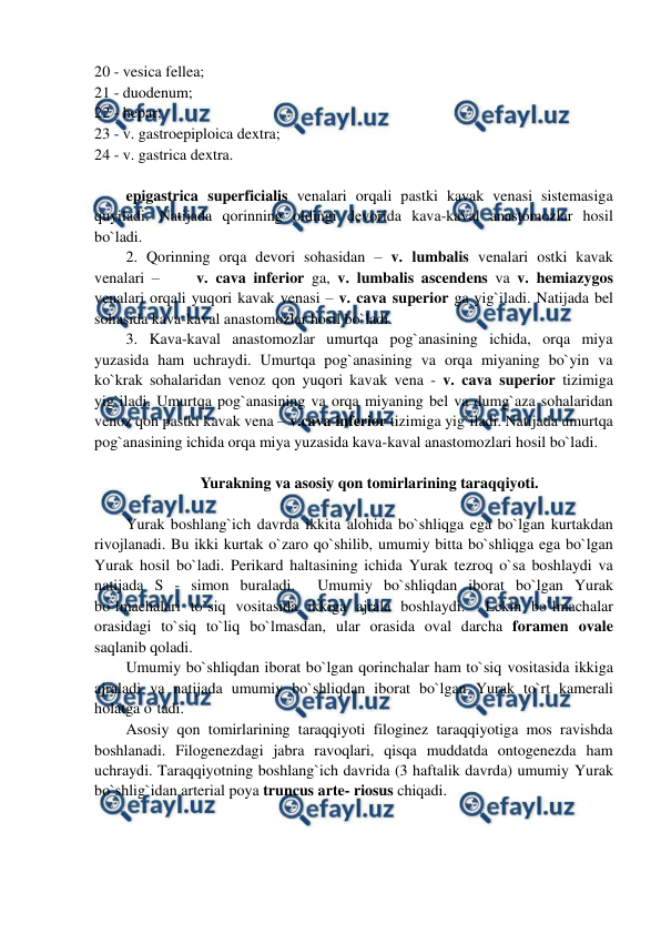  
 
20 - vesica fellea;  
21 - duodenum;  
22 - hepar;  
23 - v. gastroepiploica dextra;  
24 - v. gastrica dextra.  
 
epigastrica superficialis venalari orqali pastki kavak venasi sistemasiga 
quyiladi. Natijada qorinning oldingi devorida kava-kaval anastomozlar hosil 
bo`ladi. 
2. Qorinning orqa devori sohasidan – v. lumbalis venalari ostki kavak 
venalari –     v. cava inferior ga, v. lumbalis ascendens va v. hemiazygos 
venalari orqali yuqori kavak venasi – v. cava superior ga yig`iladi. Natijada bel 
sohasida kava-kaval anastomozlar hosil bo`ladi.  
3. Kava-kaval anastomozlar umurtqa pog`anasining ichida, orqa miya 
yuzasida ham uchraydi. Umurtqa pog`anasining va orqa miyaning bo`yin va 
ko`krak sohalaridan venoz qon yuqori kavak vena - v. cava superior tizimiga 
yig`iladi. Umurtqa pog`anasining va orqa miyaning bel va dumg`aza sohalaridan 
venoz qon pastki kavak vena – v.cava inferior tizimiga yig`iladi. Natijada umurtqa 
pog`anasining ichida orqa miya yuzasida kava-kaval anastomozlari hosil bo`ladi.  
 
Yurakning va asosiy qon tomirlarining taraqqiyoti.  
 
Yurak boshlang`ich davrda ikkita alohida bo`shliqga ega bo`lgan kurtakdan 
rivojlanadi. Bu ikki kurtak o`zaro qo`shilib, umumiy bitta bo`shliqga ega bo`lgan 
Yurak hosil bo`ladi. Perikard haltasining ichida Yurak tezroq o`sa boshlaydi va 
natijada S - simon buraladi.  Umumiy bo`shliqdan iborat bo`lgan Yurak 
bo`lmachalari to`siq vositasida ikkiga ajrala boshlaydi.  Lekin bo`lmachalar 
orasidagi to`siq to`liq bo`lmasdan, ular orasida oval darcha foramen ovale 
saqlanib qoladi.  
Umumiy bo`shliqdan iborat bo`lgan qorinchalar ham to`siq vositasida ikkiga 
ajraladi va natijada umumiy bo`shliqdan iborat bo`lgan Yurak to`rt kamerali 
holatga o`tadi.  
Asosiy qon tomirlarining taraqqiyoti filoginez taraqqiyotiga mos ravishda 
boshlanadi. Filogenezdagi jabra ravoqlari, qisqa muddatda ontogenezda ham 
uchraydi. Taraqqiyotning boshlang`ich davrida (3 haftalik davrda) umumiy Yurak 
bo`shlig`idan arterial poya truncus arte- riosus chiqadi. 
