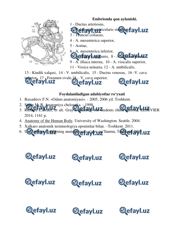  
 
Embrionda qon aylanishi. 
1 - Ductus arteriosus,   
2 - Valva atrioventricularis sinistra,  
3 - Truncus coliacus,   
4 - A. mesenterica superior,   
5 - Aortae,   
6 - A. mesenterica inferior, 
7 - A. illiaca communis,  8 - A. illiaca externa, 
9 - A. illiaca interna,  10 - A. visicalis superior, 
11 - Vesica urinaria, 12 - A. umbilicalis, 
13 - Kindik xalqasi,  14 - V. umbilicalis,  15 - Ductus venosus,  16 -V. cava 
inferior,  17 - Foramen ovale,18 – V. cava superior. 
 
 
Foydalaniladigan adabiyotlar ro‘yxati 
1. Baxadirov F.N. «Odam anatomiyasi». - 2005, 2006 yil. Toshkent. 
2. Sapin M. R. Anatomiya cheloveka. - 1998.  
3. Richard L.Drake, et alt. Gray`s Anatomy for students (third edition), ELSEVIER 
2014, 1161 p. 
4. Anatomy of the Human Body. University of Washington. Seattle. 2004. 
5. Xalkaro anatomik terminologiya eponimlar bilan. –Toshkent. 2011. 
6. U. G‘ofurov.Tishlarning anatomiyasi.- o‘quv qo‘llanma, Toshkent, 2015.  
 
