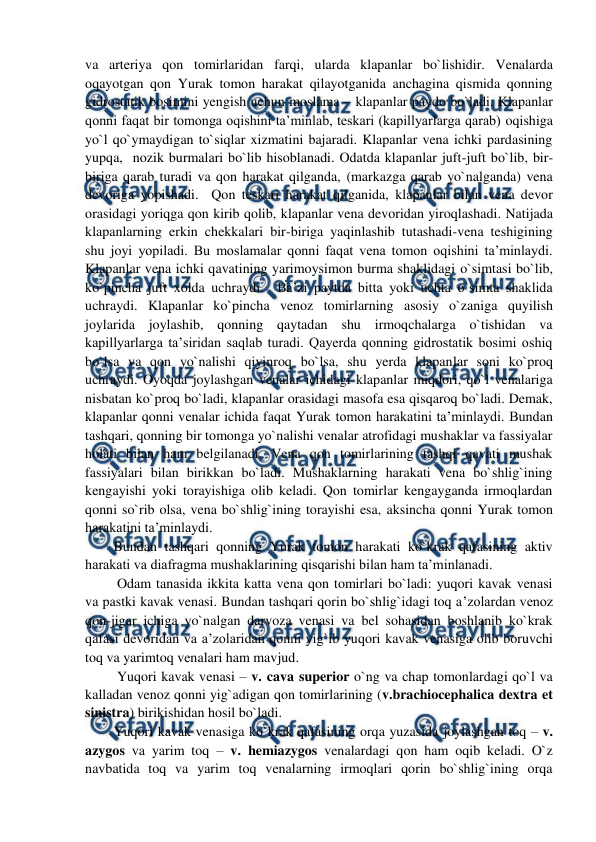  
 
va arteriya qon tomirlaridan farqi, ularda klapanlar bo`lishidir. Venalarda 
oqayotgan qon Yurak tomon harakat qilayotganida anchagina qismida qonning 
gidrostatik bosimini yengish uchun moslama – klapanlar paydo bo`ladi. Klapanlar 
qonni faqat bir tomonga oqishini ta’minlab, teskari (kapillyarlarga qarab) oqishiga 
yo`l qo`ymaydigan to`siqlar xizmatini bajaradi. Klapanlar vena ichki pardasining 
yupqa,  nozik burmalari bo`lib hisoblanadi. Odatda klapanlar juft-juft bo`lib, bir-
biriga qarab turadi va qon harakat qilganda, (markazga qarab yo`nalganda) vena 
devoriga yopishadi.  Qon teskari harakat qilganida, klapanlar bilan vena devor 
orasidagi yoriqga qon kirib qolib, klapanlar vena devoridan yiroqlashadi. Natijada 
klapanlarning erkin chekkalari bir-biriga yaqinlashib tutashadi-vena teshigining 
shu joyi yopiladi. Bu moslamalar qonni faqat vena tomon oqishini ta’minlaydi. 
Klapanlar vena ichki qavatining yarimoysimon burma shaklidagi o`simtasi bo`lib, 
ko`pincha juft xolda uchraydi.  Ba’zi paytda bitta yoki uchta o`simta shaklida 
uchraydi. Klapanlar ko`pincha venoz tomirlarning asosiy o`zaniga quyilish 
joylarida joylashib, qonning qaytadan shu irmoqchalarga o`tishidan va 
kapillyarlarga ta’siridan saqlab turadi. Qayerda qonning gidrostatik bosimi oshiq 
bo`lsa va qon yo`nalishi qiyinroq bo`lsa, shu yerda klapanlar soni ko`proq 
uchraydi. Oyoqda joylashgan venalar ichidagi klapanlar miqdori, qo`l venalariga 
nisbatan ko`proq bo`ladi, klapanlar orasidagi masofa esa qisqaroq bo`ladi. Demak, 
klapanlar qonni venalar ichida faqat Yurak tomon harakatini ta’minlaydi. Bundan 
tashqari, qonning bir tomonga yo`nalishi venalar atrofidagi mushaklar va fassiyalar 
holati bilan ham belgilanadi. Vena qon tomirlarining tashqi qavati mushak 
fassiyalari bilan birikkan bo`ladi. Mushaklarning harakati vena bo`shlig`ining 
kengayishi yoki torayishiga olib keladi. Qon tomirlar kengayganda irmoqlardan 
qonni so`rib olsa, vena bo`shlig`ining torayishi esa, aksincha qonni Yurak tomon 
harakatini ta’minlaydi.  
Bundan tashqari qonning Yurak tomon harakati ko`krak qafasining aktiv 
harakati va diafragma mushaklarining qisqarishi bilan ham ta’minlanadi.  
 Odam tanasida ikkita katta vena qon tomirlari bo`ladi: yuqori kavak venasi 
va pastki kavak venasi. Bundan tashqari qorin bo`shlig`idagi toq a’zolardan venoz 
qon-jigar ichiga yo`nalgan darvoza venasi va bel sohasidan boshlanib ko`krak 
qafasi devoridan va a’zolaridan qonni yig`ib yuqori kavak venasiga olib boruvchi 
toq va yarimtoq venalari ham mavjud.  
 Yuqori kavak venasi – v. cava superior o`ng va chap tomonlardagi qo`l va 
kalladan venoz qonni yig`adigan qon tomirlarining (v.brachiocephalica dextra et 
sinistra) birikishidan hosil bo`ladi.  
Yuqori kavak venasiga ko`krak qafasining orqa yuzasida joylashgan toq – v. 
azygos va yarim toq – v. hemiazygos venalardagi qon ham oqib keladi. O`z 
navbatida toq va yarim toq venalarning irmoqlari qorin bo`shlig`ining orqa 
