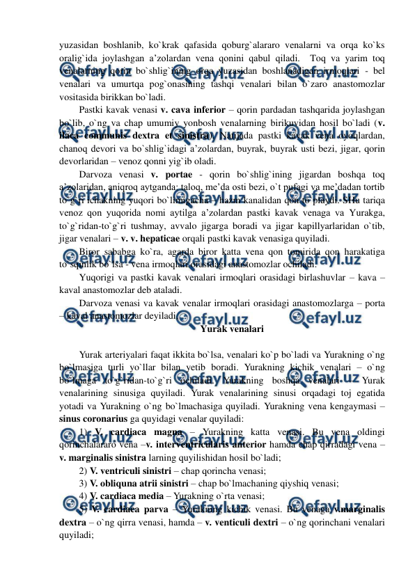  
 
yuzasidan boshlanib, ko`krak qafasida qoburg`alararo venalarni va orqa ko`ks 
oralig`ida joylashgan a’zolardan vena qonini qabul qiladi.  Toq va yarim toq 
venalarning qorin bo`shlig`ining orqa yuzasidan boshlanadigan irmoqlari - bel 
venalari va umurtqa pog`onasining tashqi venalari bilan o`zaro anastomozlar 
vositasida birikkan bo`ladi.  
Pastki kavak venasi v. cava inferior – qorin pardadan tashqarida joylashgan 
bo`lib, o`ng va chap umumiy yonbosh venalarning birikuvidan hosil bo`ladi (v. 
ilaca communis dextra et sinistra). Natijada pastki kavak vena oyoqlardan, 
chanoq devori va bo`shlig`idagi a’zolardan, buyrak, buyrak usti bezi, jigar, qorin 
devorlaridan – venoz qonni yig`ib oladi.  
Darvoza venasi v. portae - qorin bo`shlig`ining jigardan boshqa toq 
a’zolaridan, aniqroq aytganda: taloq, me’da osti bezi, o`t pufagi va me’dadan tortib 
to`g`ri ichakning yuqori bo`limigacha – hazm kanalidan qon to`playdi. SHu tariqa 
venoz qon yuqorida nomi aytilga a’zolardan pastki kavak venaga va Yurakga, 
to`g`ridan-to`g`ri tushmay, avvalo jigarga boradi va jigar kapillyarlaridan o`tib, 
jigar venalari – v. v. hepaticae orqali pastki kavak venasiga quyiladi.  
Biror sababga ko`ra, agarda biror katta vena qon tomirida qon harakatiga 
to`sqinlik bo`lsa - vena irmoqlari orasidagi anastomozlar ochiladi.  
Yuqorigi va pastki kavak venalari irmoqlari orasidagi birlashuvlar – kava – 
kaval anastomozlar deb ataladi.  
Darvoza venasi va kavak venalar irmoqlari orasidagi anastomozlarga – porta 
– kaval anastomozlar deyiladi.  
Yurak venalari 
 
Yurak arteriyalari faqat ikkita bo`lsa, venalari ko`p bo`ladi va Yurakning o`ng 
bo`lmasiga turli yo`llar bilan yetib boradi. Yurakning kichik venalari – o`ng 
bo`lmaga to`g`ridan-to`g`ri ochiladi. Yurakning boshqa venalari – Yurak 
venalarining sinusiga quyiladi. Yurak venalarining sinusi orqadagi toj egatida 
yotadi va Yurakning o`ng bo`lmachasiga quyiladi. Yurakning vena kengaymasi – 
sinus coronarius ga quyidagi venalar quyiladi:  
1) V. cardiaca magna – Yurakning katta venasi. Bu vena oldingi 
qorinchalararo vena –v. interventricularis anterior hamda chap qirradagi vena – 
v. marginalis sinistra larning quyilishidan hosil bo`ladi; 
2) V. ventriculi sinistri – chap qorincha venasi;    
3) V. obliquna atrii sinistri – chap bo`lmachaning qiyshiq venasi; 
4) V. cardiaca media – Yurakning o`rta venasi;   
5) V. cardiaca parva – Yurakning kichik venasi. Bu venaga v.marginalis 
dextra – o`ng qirra venasi, hamda – v. venticuli dextri – o`ng qorinchani venalari 
quyiladi;   
