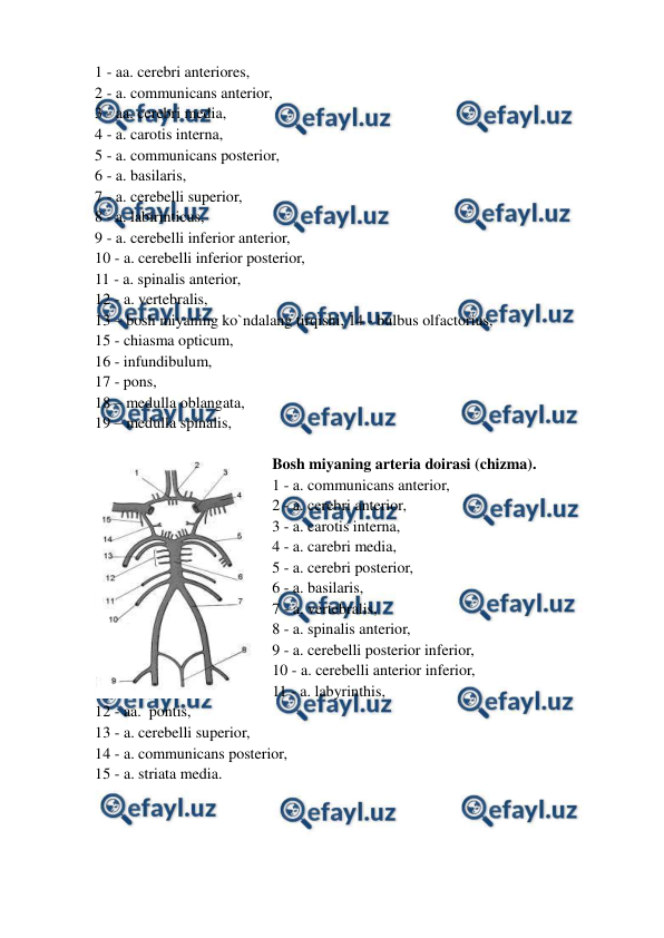  
 
1 - aa. cerebri anteriores,  
2 - a. communicans anterior,  
3 - aa. cerebri media,  
4 - a. carotis interna,  
5 - a. communicans posterior,  
6 - a. basilaris,  
7 - a. cerebelli superior,  
8 - a. labirinticus,  
9 - a. cerebelli inferior anterior,  
10 - a. cerebelli inferior posterior,  
11 - a. spinalis anterior,  
12 - a. vertebralis,  
13 – bosh miyaning ko`ndalang tirqishi, 14 - bulbus olfactorius,  
15 - chiasma opticum,  
16 - infundibulum,  
17 - pons,  
18 – medulla oblangata,  
19 – medulla spinalis,  
 
Bosh miyaning arteria doirasi (chizma).  
1 - a. communicans anterior,  
2 - a. cerebri anterior,  
3 - a. carotis interna,  
4 - a. carebri media,  
5 - a. cerebri posterior,  
6 - a. basilaris,  
7 - a. vertebralis,  
8 - a. spinalis anterior,  
9 - a. cerebelli posterior inferior,  
10 - a. cerebelli anterior inferior,  
11 - a. labyrinthis,   
12 - aa.  pontis,  
13 - a. cerebelli superior,  
14 - a. communicans posterior,  
15 - a. striata media.  
 
 
 
 
 
