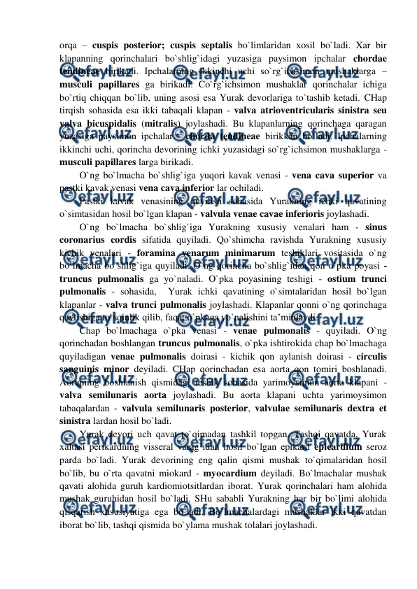  
 
orqa – cuspis posterior; cuspis septalis bo`limlaridan xosil bo`ladi. Xar bir 
klapanning qorinchalari bo`shlig`idagi yuzasiga paysimon ipchalar chordae 
tendineae birikadi. Ipchalarning ikkinchi uchi so`rg`ichsimon mushaklarga – 
musculi papillares ga birikadi. Co`rg`ichsimon mushaklar qorinchalar ichiga 
bo`rtiq chiqqan bo`lib, uning asosi esa Yurak devorlariga to`tashib ketadi. CHap 
tirqish sohasida esa ikki tabaqali klapan - valva atrioventricularis sinistra seu 
valva bicuspidalis (mitralis) joylashadi. Bu klapanlarning qorinchaga qaragan 
yuzasiga paysimon ipchalar - chorda tendineae birikkan bo`ladi. Ipchalarning 
ikkinchi uchi, qorincha devorining ichki yuzasidagi so`rg`ichsimon mushaklarga - 
musculi papillares larga birikadi.  
O`ng bo`lmacha bo`shlig`iga yuqori kavak venasi - vena cava superior va 
pastki kavak venasi vena cava inferior lar ochiladi.  
Pastki kavak venasining quyilish sohasida Yurakning ichki qavatining 
o`simtasidan hosil bo`lgan klapan - valvula venae cavae inferioris joylashadi.  
O`ng bo`lmacha bo`shlig`iga Yurakning xususiy venalari ham - sinus 
coronarius cordis sifatida quyiladi. Qo`shimcha ravishda Yurakning xususiy 
kichik venalari - foramina venarum minimarum teshiklari vositasida o`ng 
bo`lmacha bo`shlig`iga quyiladi. O`ng qorincha bo`shlig`idan qon o`pka poyasi - 
truncus pulmonalis ga yo`naladi. O`pka poyasining teshigi - ostium trunci 
pulmonalis - sohasida,  Yurak ichki qavatining o`simtalaridan hosil bo`lgan 
klapanlar - valva trunci pulmonalis joylashadi. Klapanlar qonni o`ng qorinchaga 
qaytishiga to`sqinlik qilib, faqat o`pkaga yo`nalishini ta’minlaydi.  
Chap bo`lmachaga o`pka venasi - venae pulmonalis - quyiladi. O`ng 
qorinchadan boshlangan truncus pulmonalis, o`pka ishtirokida chap bo`lmachaga 
quyiladigan venae pulmonalis doirasi - kichik qon aylanish doirasi - circulis 
sanguinis minor deyiladi. CHap qorinchadan esa aorta qon tomiri boshlanadi. 
Aortaning boshlanish qismidagi teshik sohasida yarimoysimon aorta klapani - 
valva semilunaris aorta joylashadi. Bu aorta klapani uchta yarimoysimon 
tabaqalardan - valvula semilunaris posterior, valvulae semilunaris dextra et 
sinistra lardan hosil bo`ladi.  
Yurak devori uch qavat to`qimadan tashkil topgan. Tashqi qavatda, Yurak 
xaltasi perikardning visseral varag`idan hosil bo`lgan epikard epicardium seroz 
parda bo`ladi. Yurak devorining eng qalin qismi mushak to`qimalaridan hosil 
bo`lib, bu o`rta qavatni miokard - myocardium deyiladi. Bo`lmachalar mushak 
qavati alohida guruh kardiomiotsitlardan iborat. Yurak qorinchalari ham alohida 
mushak guruhidan hosil bo`ladi. SHu sababli Yurakning har bir bo`limi alohida 
qisqarish xususiyatiga ega bo`ladi. Bo`lmachalardagi mushaklar ikki qavatdan 
iborat bo`lib, tashqi qismida bo`ylama mushak tolalari joylashadi.  
