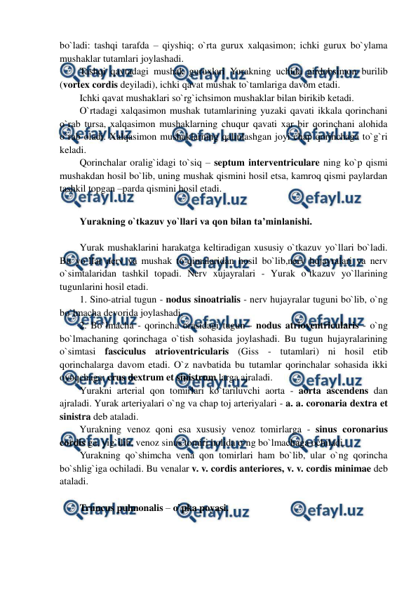  
 
bo`ladi: tashqi tarafda – qiyshiq; o`rta gurux xalqasimon; ichki gurux bo`ylama 
mushaklar tutamlari joylashadi.  
Tashqi qavtadagi mushak guruxlari Yurakning uchida girdobsimon burilib 
(vortex cordis deyiladi), ichki qavat mushak to`tamlariga davom etadi. 
Ichki qavat mushaklari so`rg`ichsimon mushaklar bilan birikib ketadi.  
O`rtadagi xalqasimon mushak tutamlarining yuzaki qavati ikkala qorinchani 
o`rab tursa, xalqasimon mushaklarning chuqur qavati xar bir qorinchani alohida 
o`rab oladi. Xalqasimon mushaklarning qalinlashgan joyi chap qorinchaga to`g`ri 
keladi. 
Qorinchalar oralig`idagi to`siq – septum interventriculare ning ko`p qismi 
mushakdan hosil bo`lib, uning mushak qismini hosil etsa, kamroq qismi paylardan 
tashkil topgan –parda qismini hosil etadi.   
 
Yurakning o`tkazuv yo`llari va qon bilan ta’minlanishi. 
 
Yurak mushaklarini harakatga keltiradigan xususiy o`tkazuv yo`llari bo`ladi.  
Bu yo`llar nerv va mushak to`qimalaridan hosil bo`lib,nerv hujayralari va nerv 
o`simtalaridan tashkil topadi. Nerv xujayralari - Yurak o`tkazuv yo`llarining 
tugunlarini hosil etadi.  
1. Sino-atrial tugun - nodus sinoatrialis - nerv hujayralar tuguni bo`lib, o`ng 
bo`lmacha devorida joylashadi.  
2. Bo`lmacha - qorincha orasidagi tugun - nodus atrioventricularis - o`ng 
bo`lmachaning qorinchaga o`tish sohasida joylashadi. Bu tugun hujayralarining 
o`simtasi fasciculus atrioventricularis (Giss - tutamlari) ni hosil etib 
qorinchalarga davom etadi. O`z navbatida bu tutamlar qorinchalar sohasida ikki 
oyoqchaga: crus dextrum et sinistrum larga ajraladi.  
Yurakni arterial qon tomirlari ko`tariluvchi aorta - aorta ascendens dan 
ajraladi. Yurak arteriyalari o`ng va chap toj arteriyalari - a. a. coronaria dextra et 
sinistra deb ataladi. 
Yurakning venoz qoni esa xususiy venoz tomirlarga - sinus coronarius 
cordis ga, yig`ilib, venoz sinus tomiri holida o`ng bo`lmachaga ochiladi. 
Yurakning qo`shimcha vena qon tomirlari ham bo`lib, ular o`ng qorincha 
bo`shlig`iga ochiladi. Bu venalar v. v. cordis anteriores, v. v. cordis minimae deb 
ataladi. 
 
Truncus pulmonalis – o`pka poyasi. 
 
