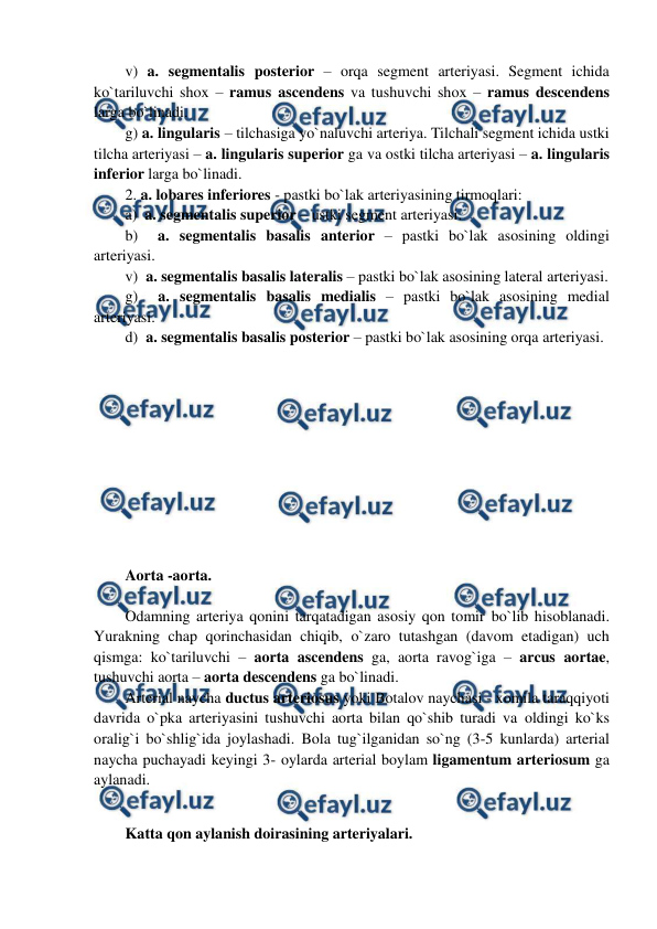  
 
v) a. segmentalis posterior – orqa segment arteriyasi. Segment ichida 
ko`tariluvchi shox – ramus ascendens va tushuvchi shox – ramus descendens 
larga bo`linadi. 
g) a. lingularis – tilchasiga yo`naluvchi arteriya. Tilchali segment ichida ustki 
tilcha arteriyasi – a. lingularis superior ga va ostki tilcha arteriyasi – a. lingularis 
inferior larga bo`linadi.  
2. a. lobares inferiores - pastki bo`lak arteriyasining tirmoqlari: 
a)  a. segmentalis superior – ustki segment arteriyasi. 
b)  a. segmentalis basalis anterior – pastki bo`lak asosining oldingi 
arteriyasi. 
v)  a. segmentalis basalis lateralis – pastki bo`lak asosining lateral arteriyasi. 
g)  a. segmentalis basalis medialis – pastki bo`lak asosining medial 
arteriyasi. 
d)  a. segmentalis basalis posterior – pastki bo`lak asosining orqa arteriyasi. 
 
 
 
 
 
 
 
 
 
 
Aorta -aorta. 
 
Odamning arteriya qonini tarqatadigan asosiy qon tomir bo`lib hisoblanadi. 
Yurakning chap qorinchasidan chiqib, o`zaro tutashgan (davom etadigan) uch 
qismga: ko`tariluvchi – aorta ascendens ga, aorta ravog`iga – arcus aortae, 
tushuvchi aorta – aorta descendens ga bo`linadi.  
Arterial naycha ductus arteriosus yoki Botalov naychasi - xomila taraqqiyoti 
davrida o`pka arteriyasini tushuvchi aorta bilan qo`shib turadi va oldingi ko`ks 
oralig`i bo`shlig`ida joylashadi. Bola tug`ilganidan so`ng (3-5 kunlarda) arterial 
naycha puchayadi keyingi 3- oylarda arterial boylam ligamentum arteriosum ga 
aylanadi.  
 
Katta qon aylanish doirasining arteriyalari. 
 
