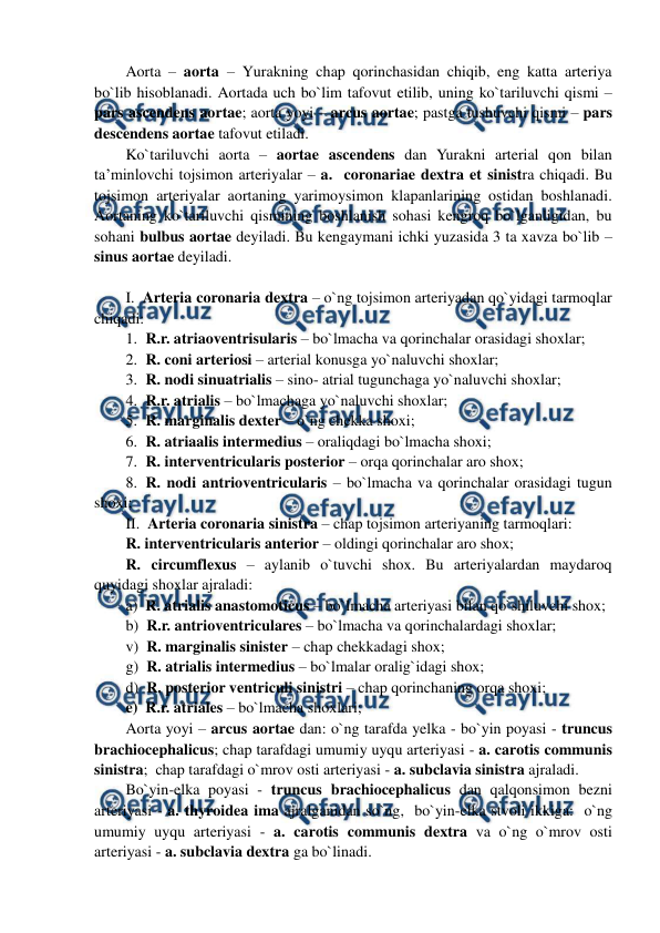  
 
Aorta – aorta – Yurakning chap qorinchasidan chiqib, eng katta arteriya 
bo`lib hisoblanadi. Aortada uch bo`lim tafovut etilib, uning ko`tariluvchi qismi – 
pars ascendens aortae; aorta yoyi – arcus aortae; pastga tushuvchi qismi – pars 
descendens aortae tafovut etiladi.  
Ko`tariluvchi aorta – aortae ascendens dan Yurakni arterial qon bilan 
ta’minlovchi tojsimon arteriyalar – a.  coronariae dextra et sinistra chiqadi. Bu 
tojsimon arteriyalar aortaning yarimoysimon klapanlarining ostidan boshlanadi. 
Aortaning ko`tariluvchi qismining boshlanish sohasi kengroq bo`lganligidan, bu 
sohani bulbus aortae deyiladi. Bu kengaymani ichki yuzasida 3 ta xavza bo`lib – 
sinus aortae deyiladi. 
 
I.  Arteria coronaria dextra – o`ng tojsimon arteriyadan qo`yidagi tarmoqlar 
chiqadi: 
1. R.r. atriaoventrisularis – bo`lmacha va qorinchalar orasidagi shoxlar;  
2. R. coni arteriosi – arterial konusga yo`naluvchi shoxlar;  
3. R. nodi sinuatrialis – sino- atrial tugunchaga yo`naluvchi shoxlar; 
4. R.r. atrialis – bo`lmachaga yo`naluvchi shoxlar; 
5. R. marginalis dexter – o`ng chekka shoxi; 
6. R. atriaalis intermedius – oraliqdagi bo`lmacha shoxi; 
7. R. interventricularis posterior – orqa qorinchalar aro shox; 
8. R. nodi antrioventricularis – bo`lmacha va qorinchalar orasidagi tugun 
shoxi; 
II.  Arteria coronaria sinistra – chap tojsimon arteriyaning tarmoqlari:  
R. interventricularis anterior – oldingi qorinchalar aro shox; 
R. circumflexus – aylanib o`tuvchi shox. Bu arteriyalardan maydaroq 
quyidagi shoxlar ajraladi:  
a)  R. atrialis anastomoticus – bo`lmacha arteriyasi bilan qo`shiluvchi shox; 
b)  R.r. antrioventriculares – bo`lmacha va qorinchalardagi shoxlar; 
v)  R. marginalis sinister – chap chekkadagi shox; 
g)  R. atrialis intermedius – bo`lmalar oralig`idagi shox; 
d)  R. posterior ventriculi sinistri – chap qorinchaning orqa shoxi;   
e)  R.r. atriales – bo`lmacha shoxlari; 
Aorta yoyi – arcus aortae dan: o`ng tarafda yelka - bo`yin poyasi - truncus 
brachiocephalicus; chap tarafdagi umumiy uyqu arteriyasi - a. carotis communis 
sinistra;  chap tarafdagi o`mrov osti arteriyasi - a. subclavia sinistra ajraladi.  
Bo`yin-elka poyasi - truncus brachiocephalicus dan qalqonsimon bezni 
arteriyasi - a. thyroidea ima ajralganidan so`ng,  bo`yin-elka stvoli ikkiga:  o`ng 
umumiy uyqu arteriyasi - a. carotis communis dextra va o`ng o`mrov osti 
arteriyasi - a. subclavia dextra ga bo`linadi.  
